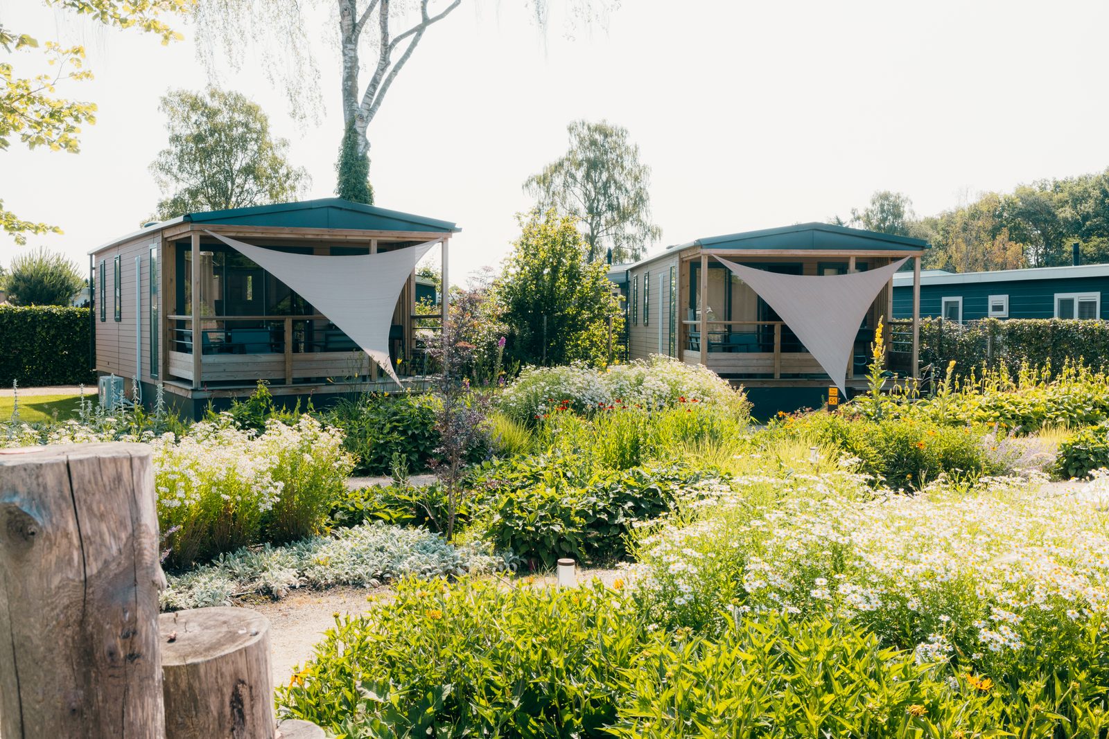 Tiny 4-Personen-Lodge