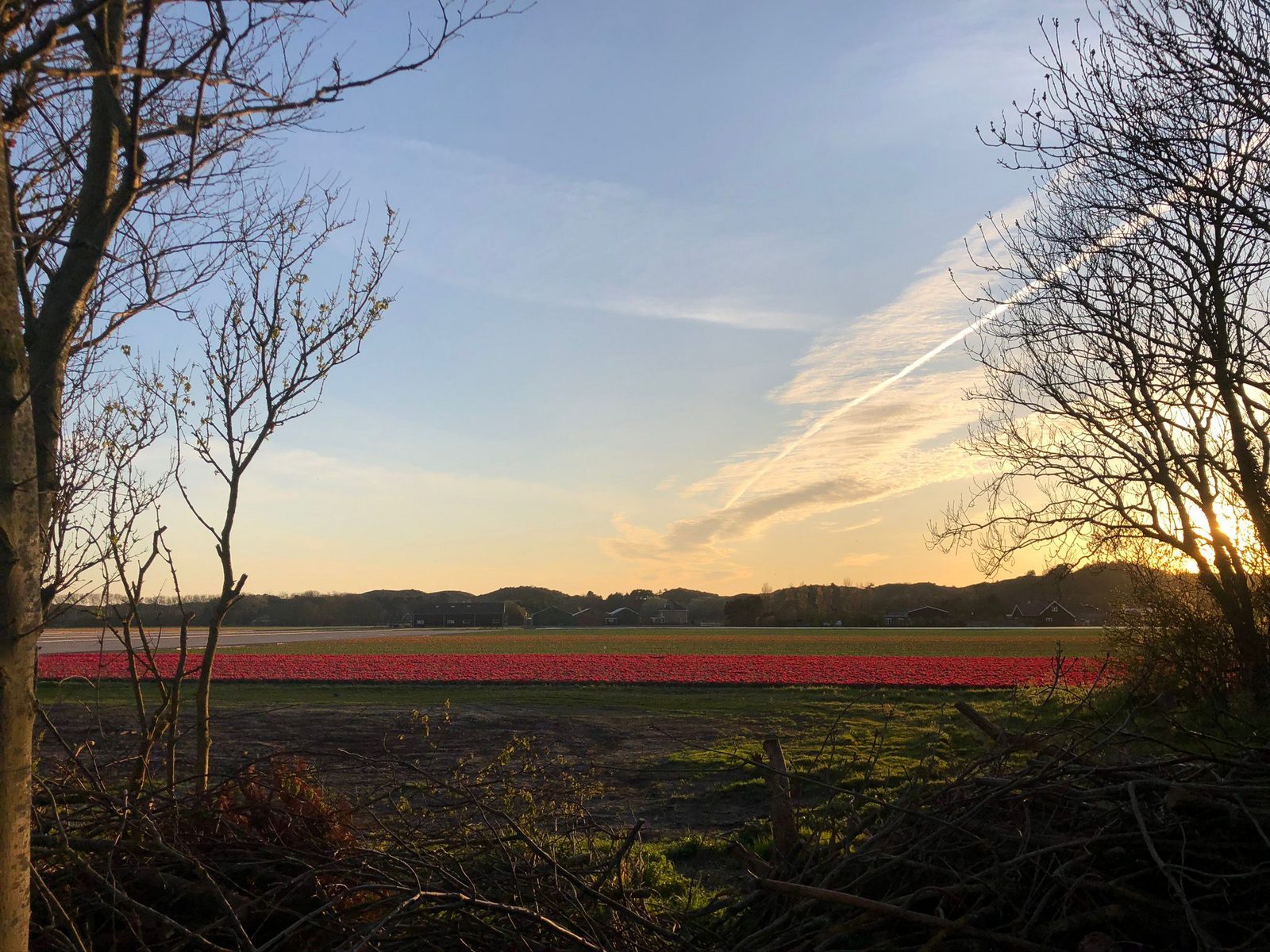 Hoeve'r Duinzicht