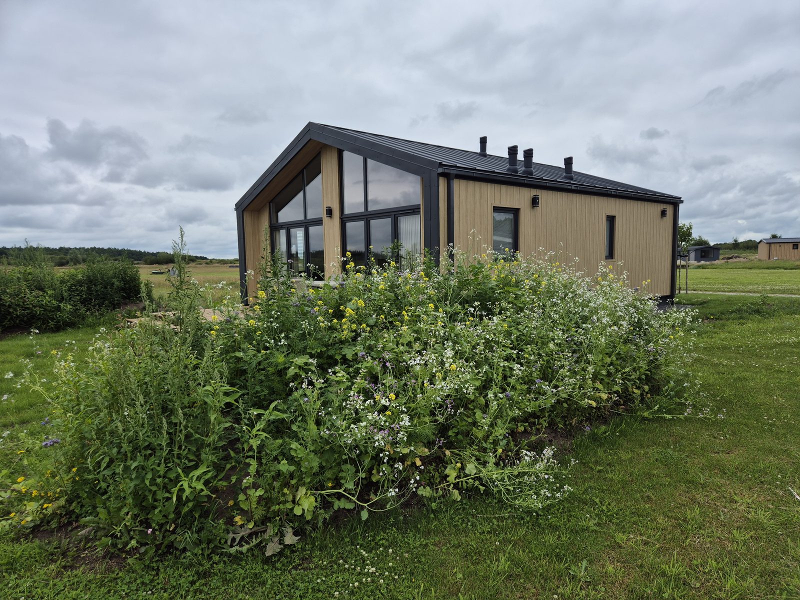 Typ Dommel | 4 Personen