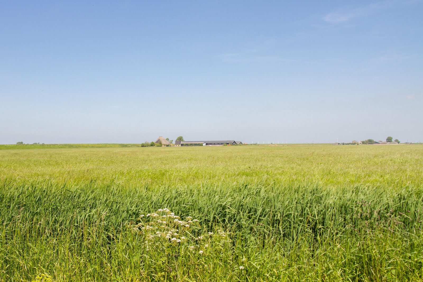 Appartement Dijkzicht