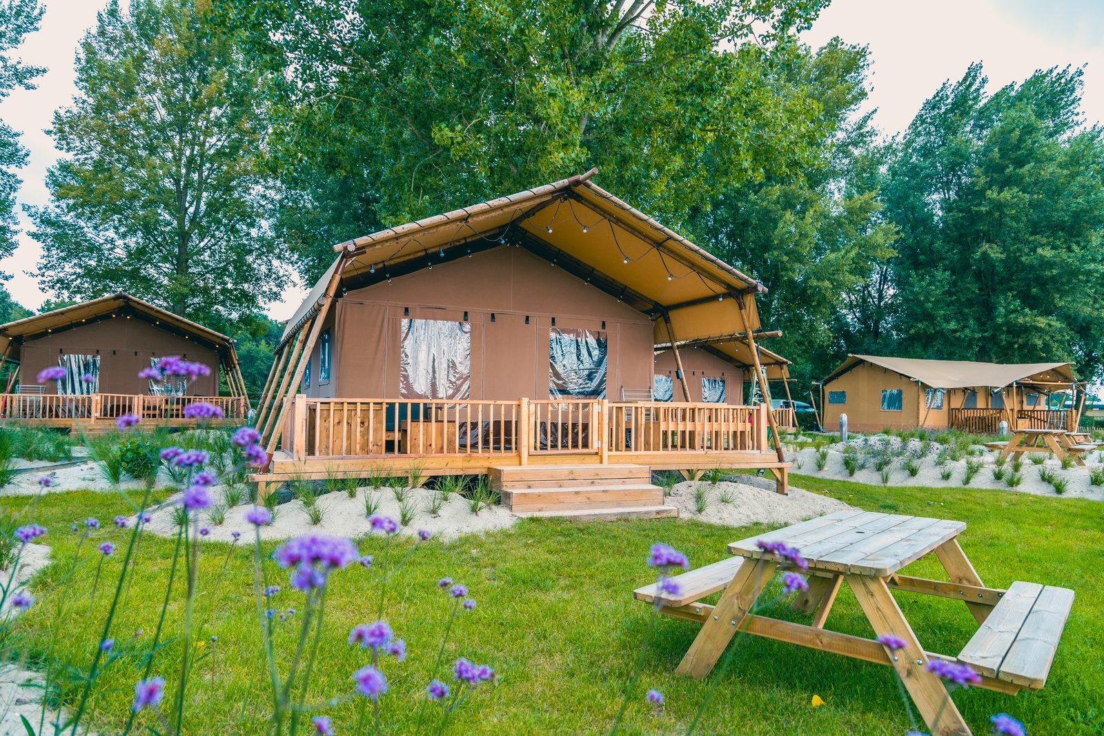 Lodge Zelt Hafen 4