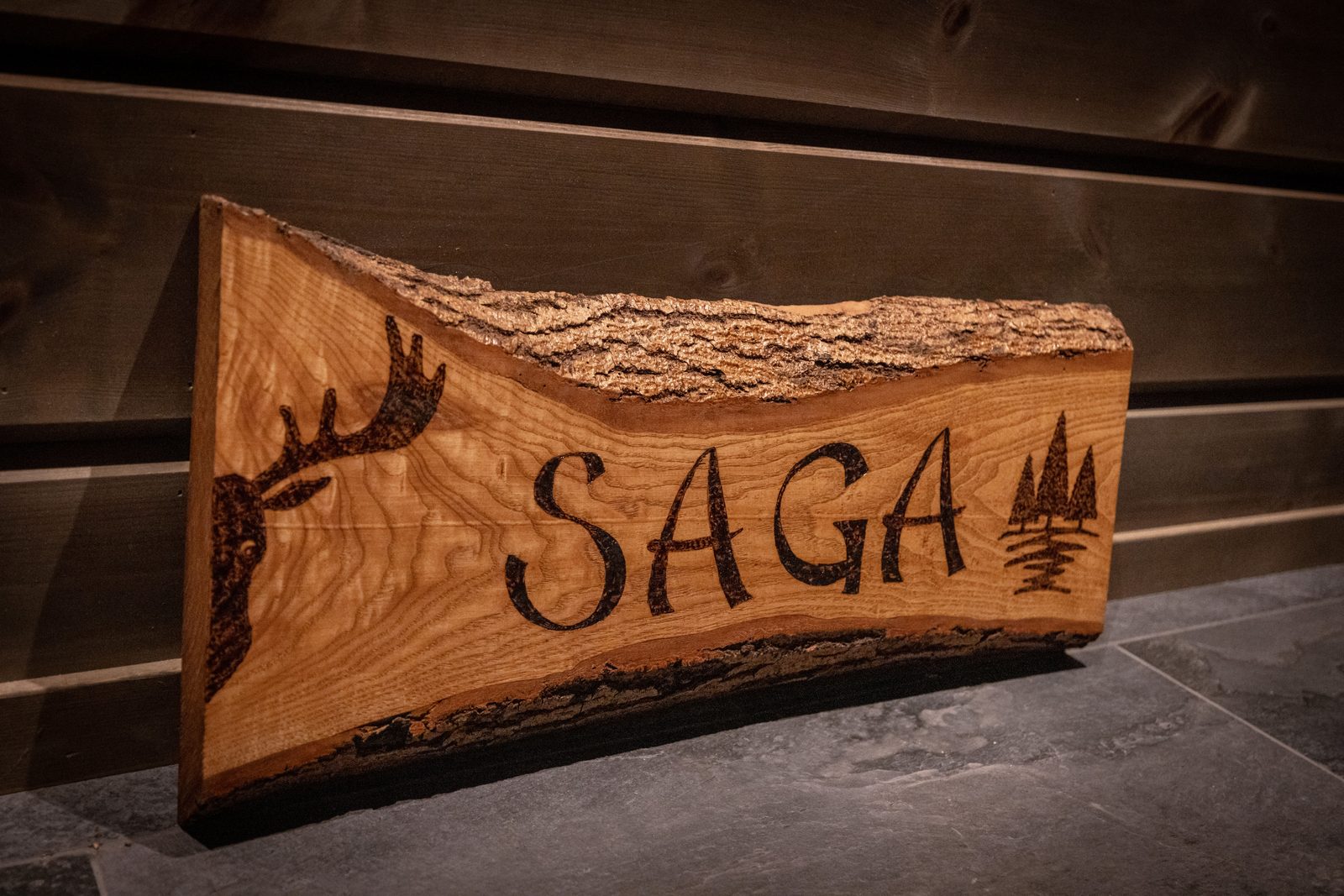 Saga Hytte | 6p | With Sauna, Hot Tub & Water View