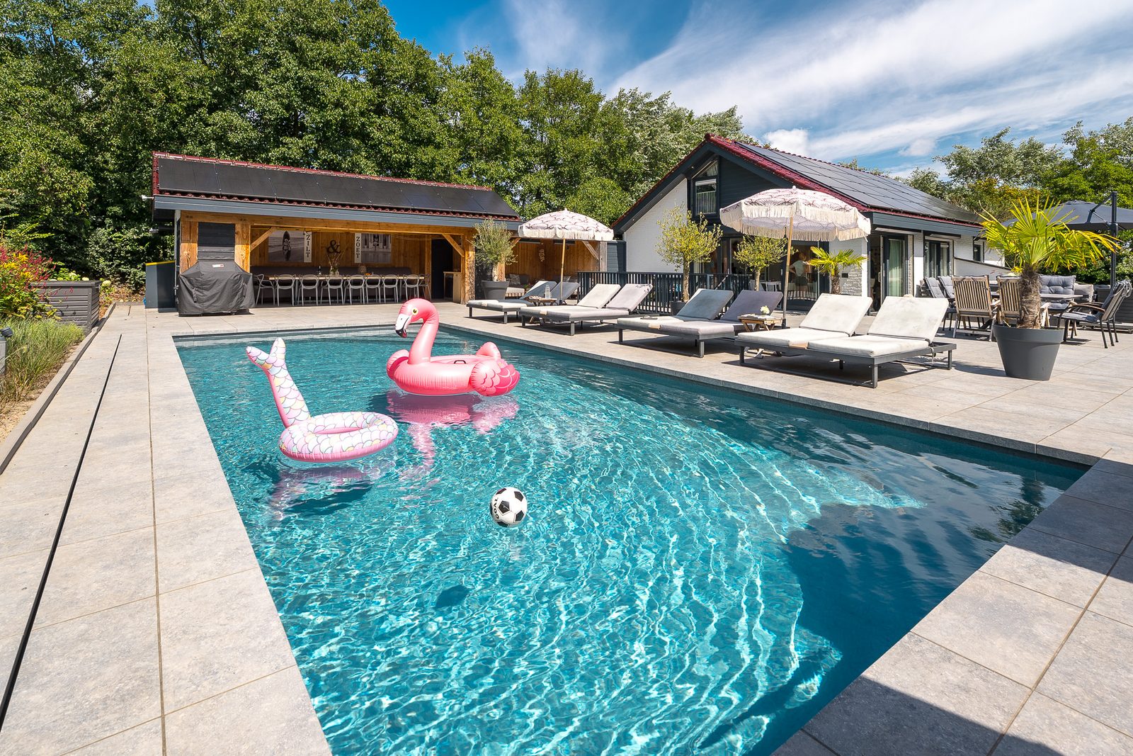 West Nieuwlandseweg 25A - Ouddorp - Poolvilla Zilt & Zoet 