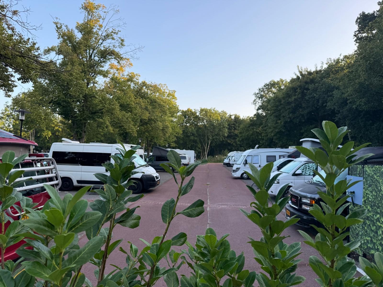 Stellplatz Standard Camper