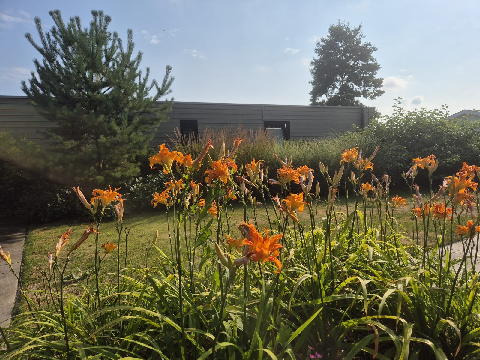 Veluwe Lodge: 2-6 personen