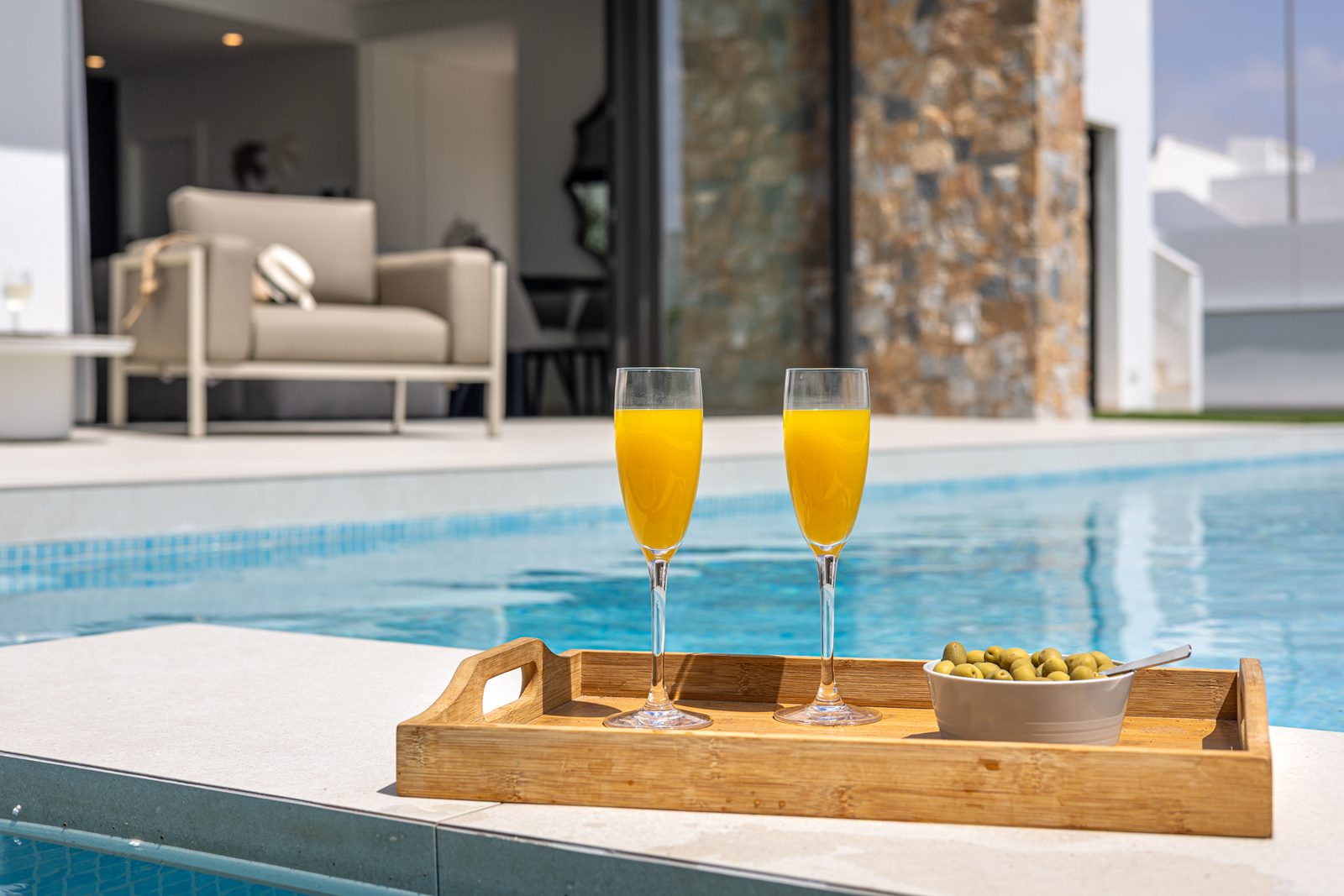 Villa Palmera