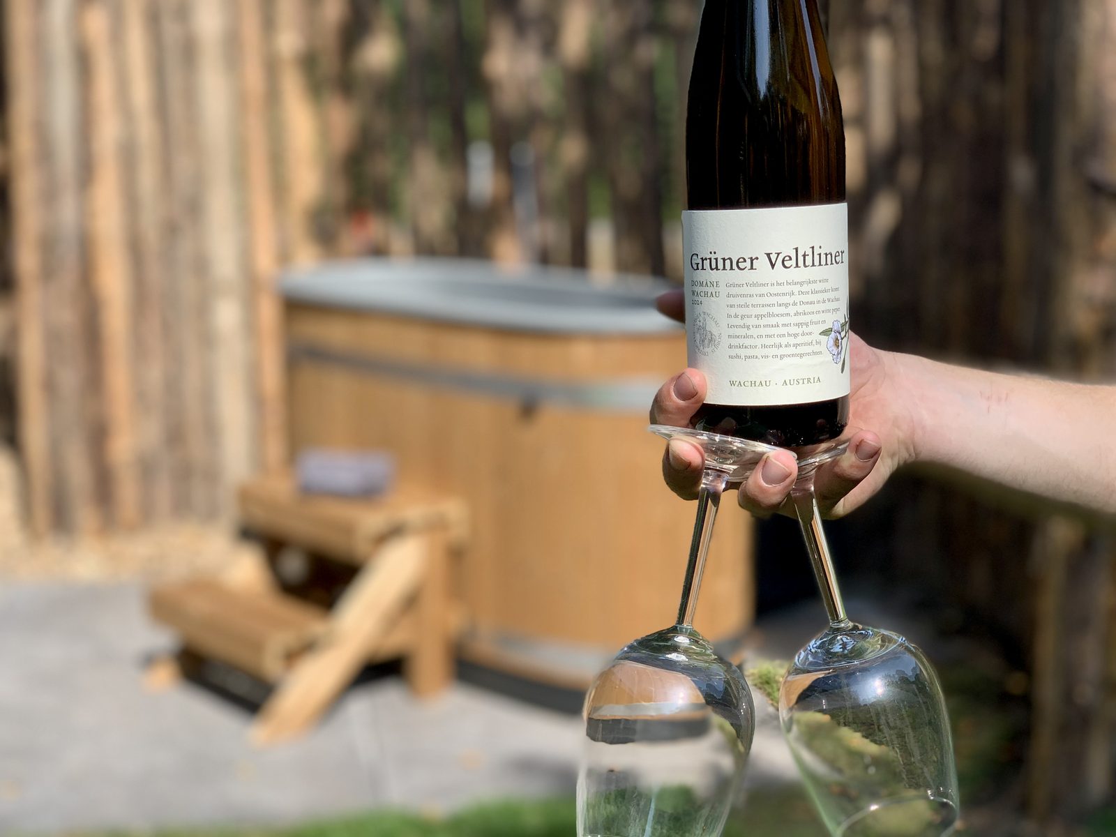 Wellness lodges