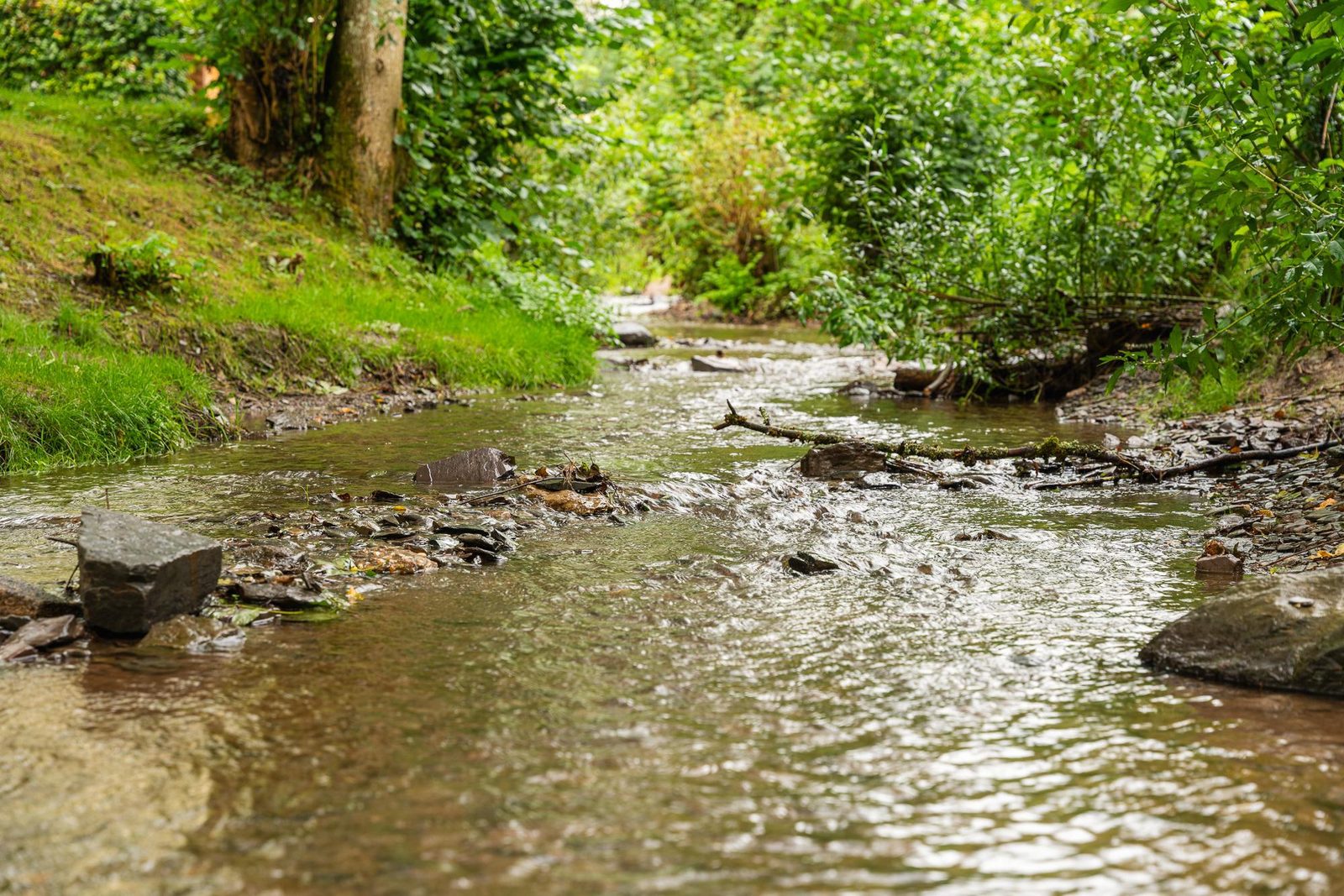 Mamer Lodge with hot tub | 4 persons 