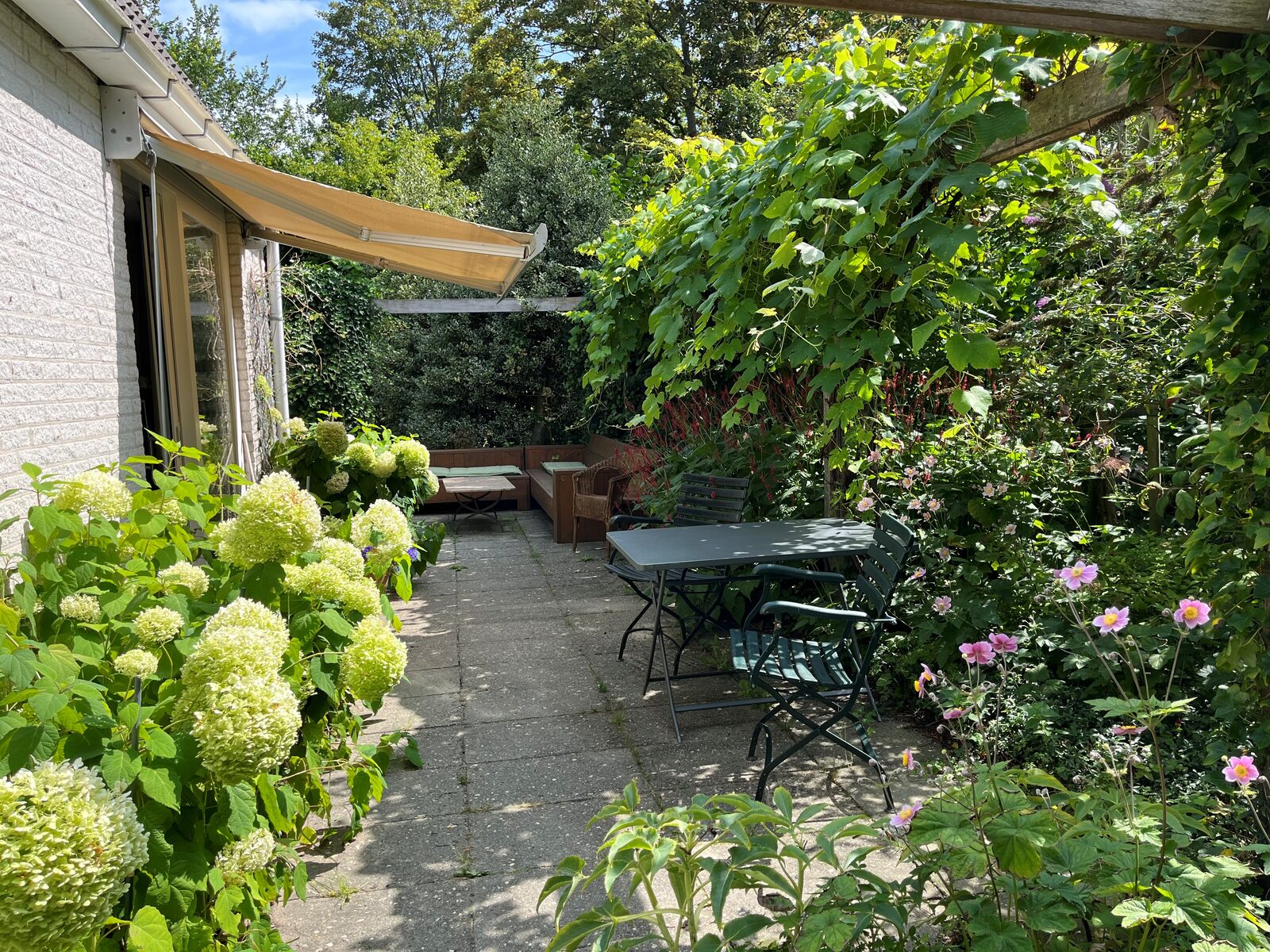 Duin Bungalow  130 4-persoons