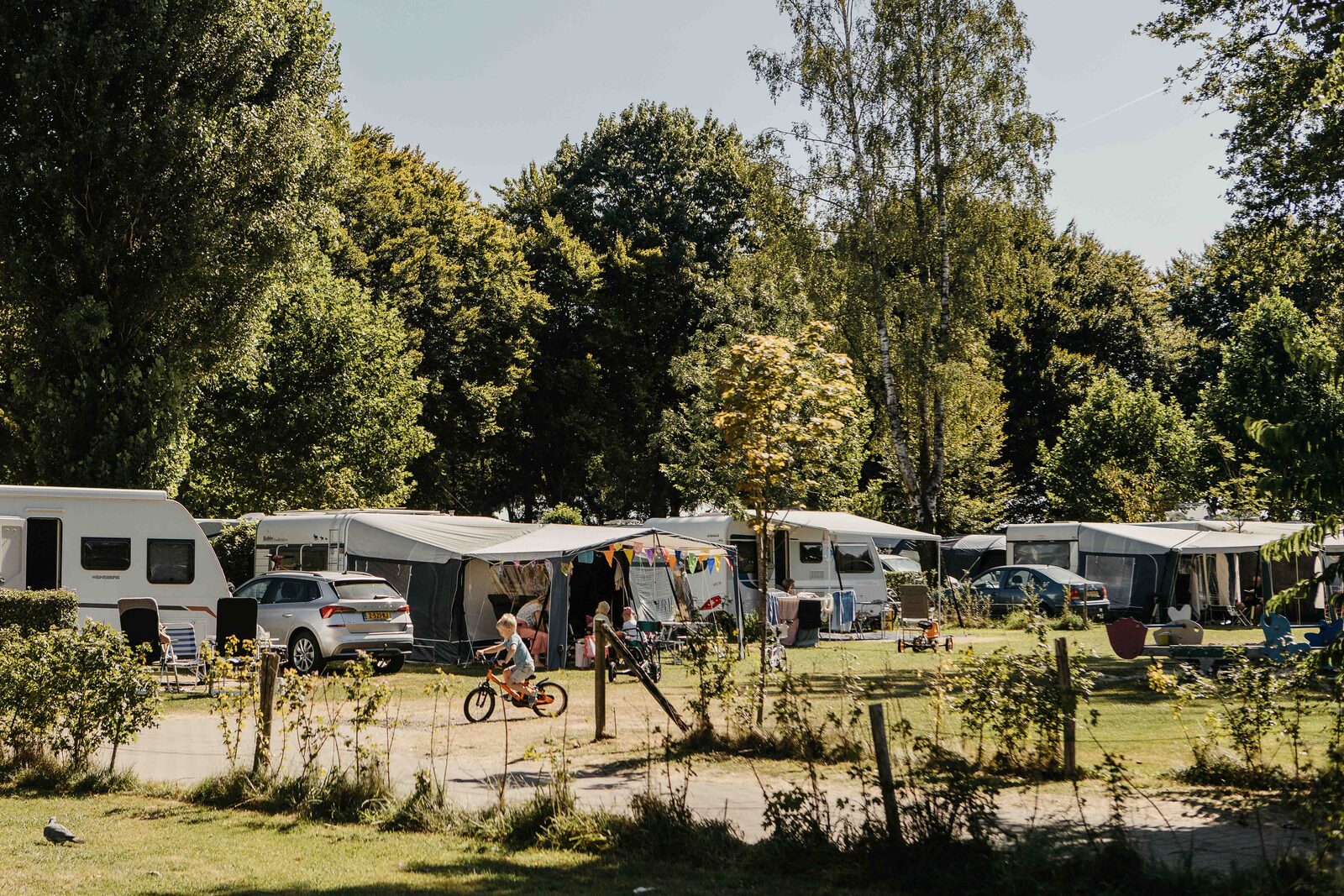 Kampeerplaats Comfort