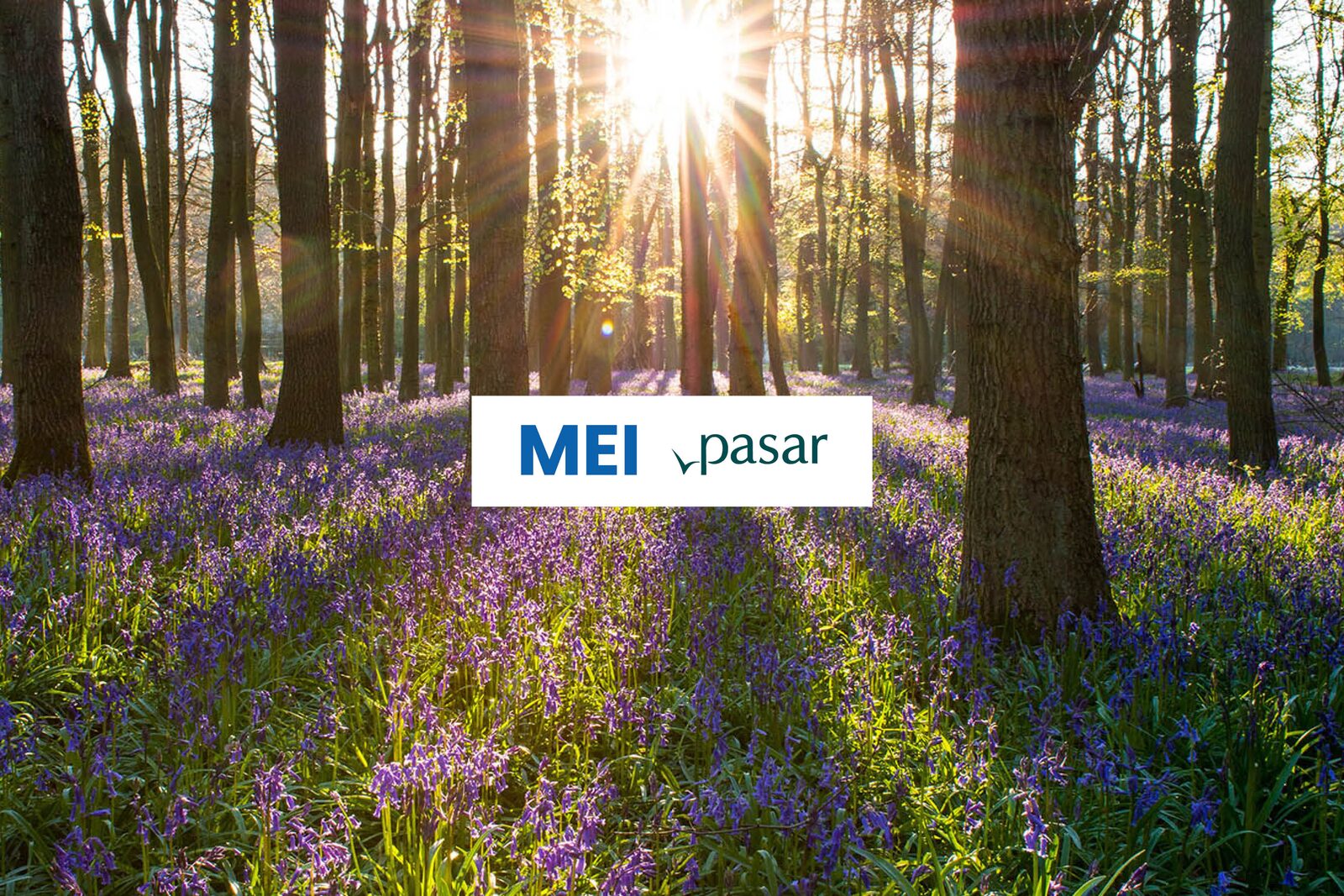 Meimaand Arrangement 2026 - Pasarkorting 10%