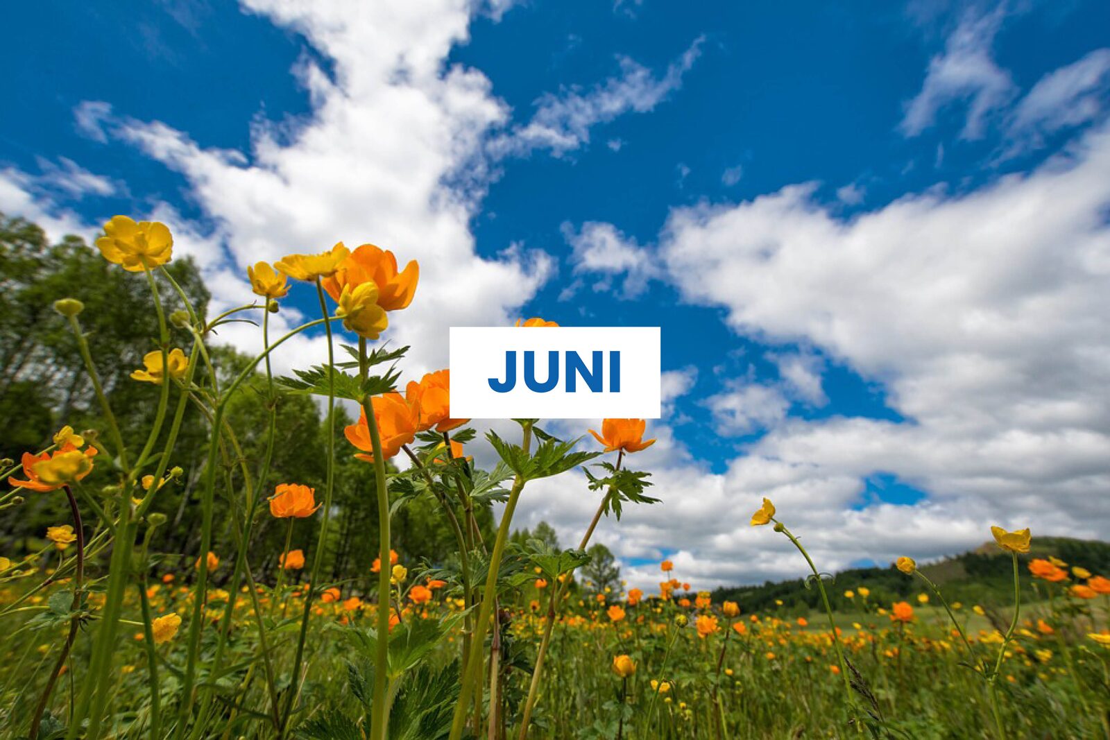 Junimaand Arrangement 2026