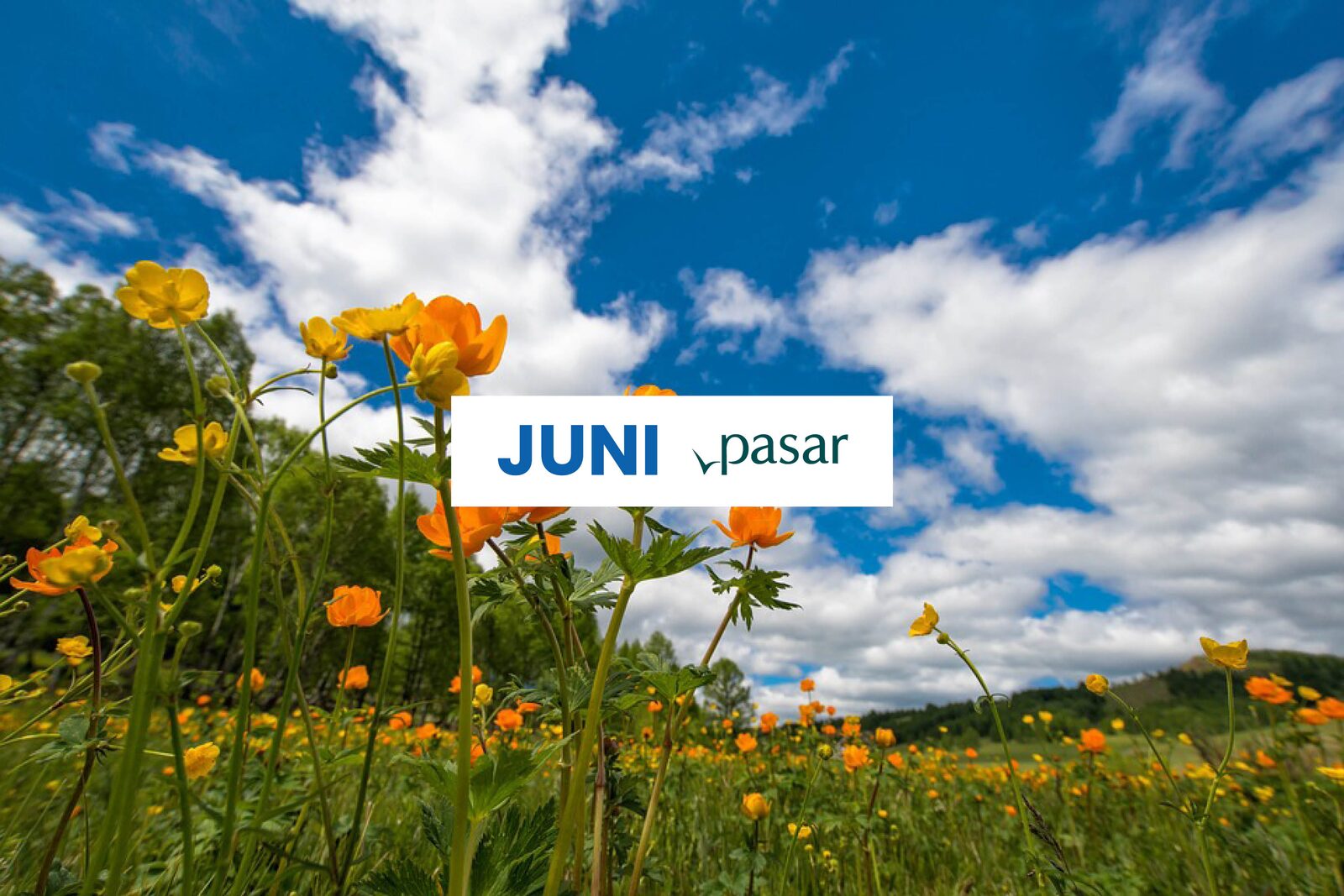 Junimaand Arrangement 2026 - Pasarkorting 10%