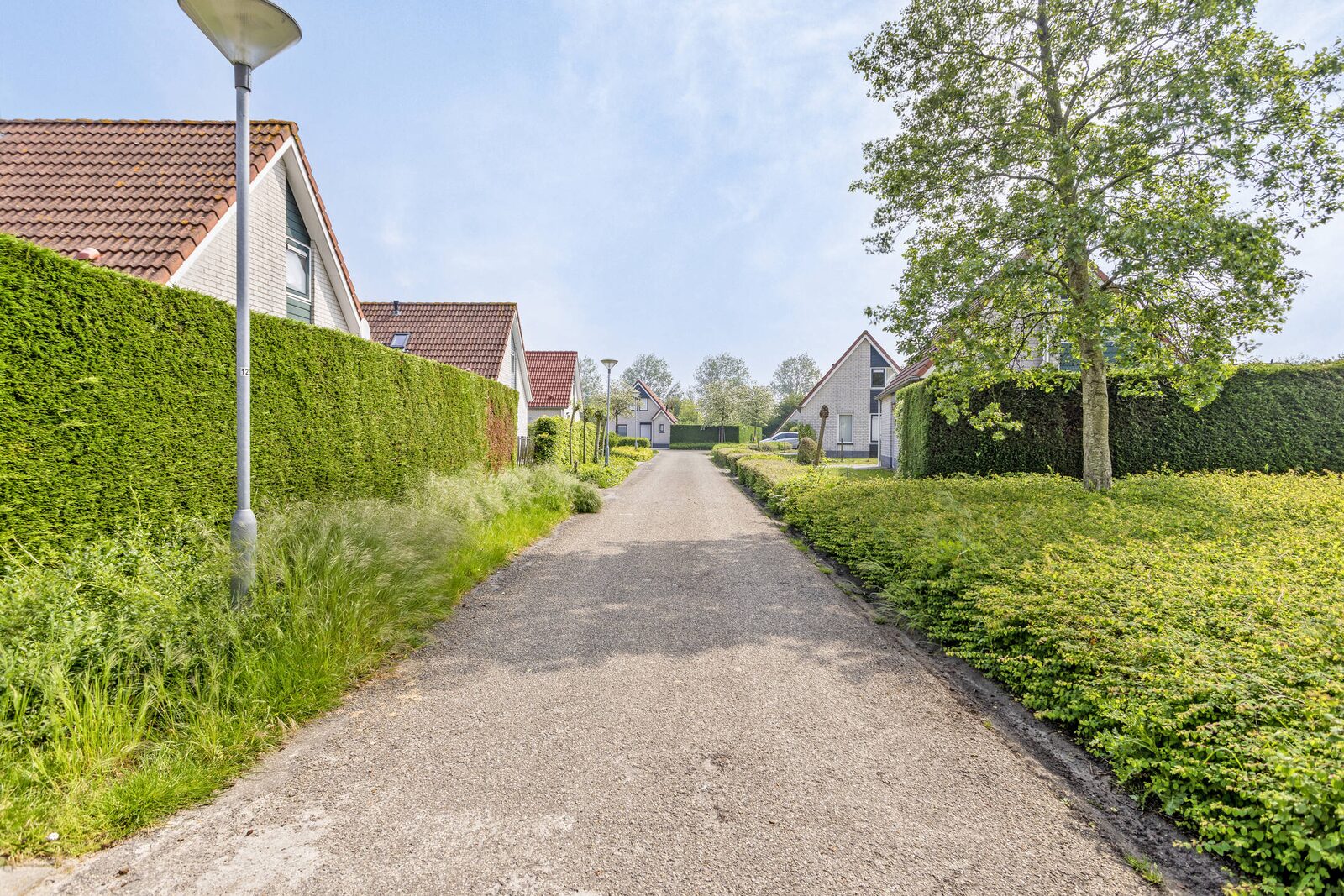 Schoneveld 249 (Stern), Breskens