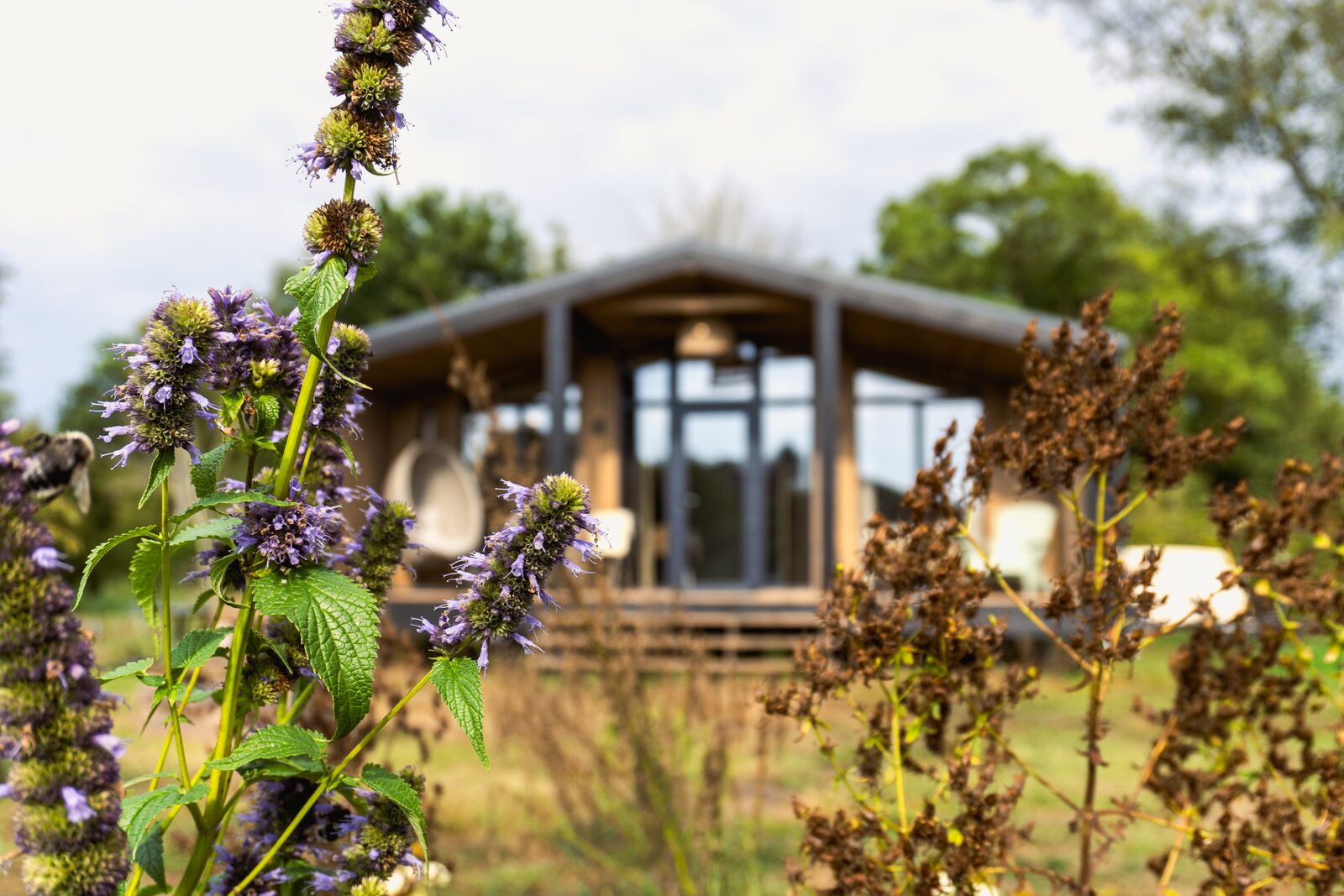 Slowlodge