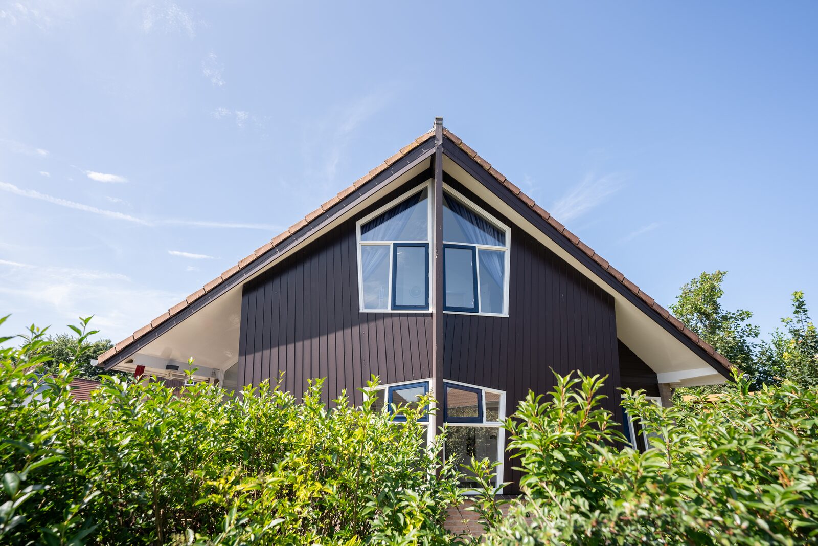 De Witteberg - 456