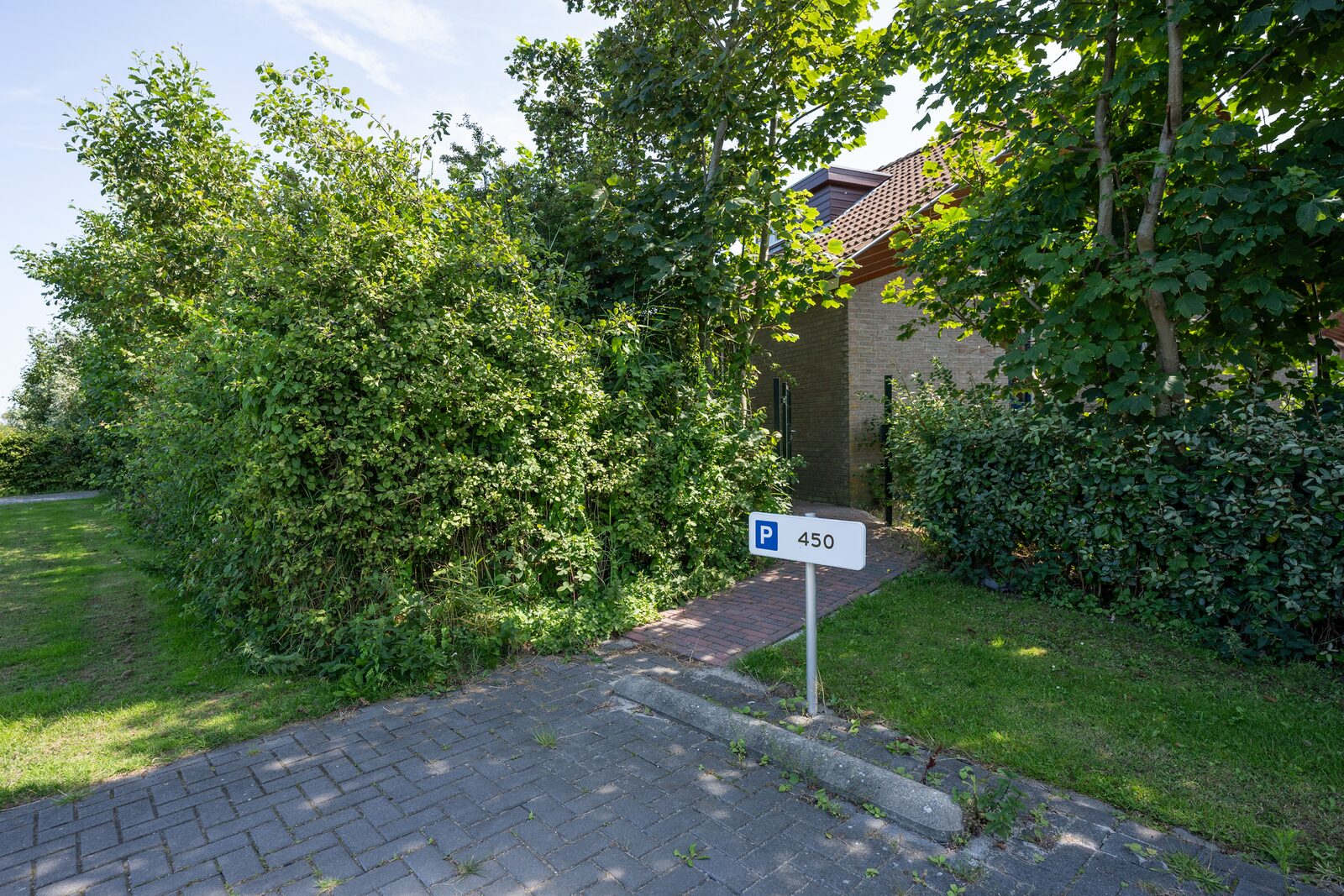 De Witteberg - 450