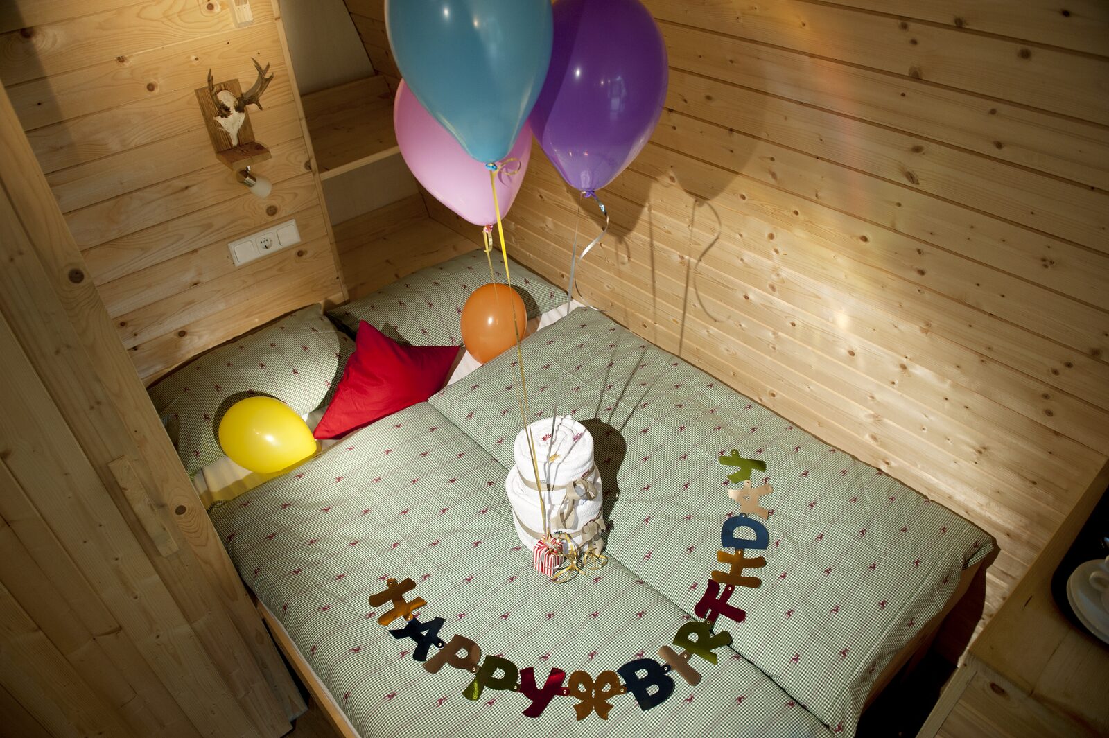 Wood Lodge Birthday Package
