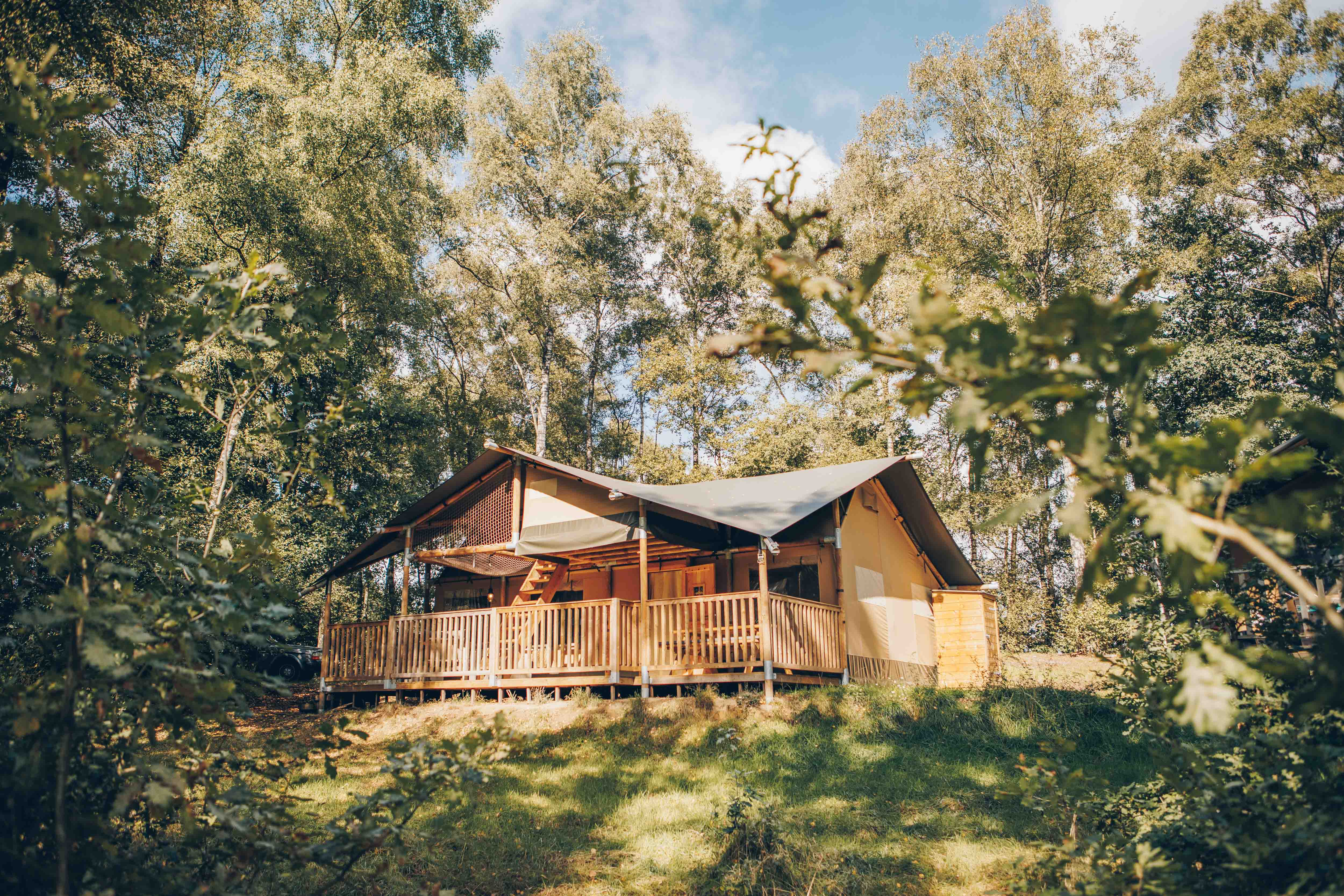 Ferienhaus in Wilsum (Deutschland) und 1 Hund erlaubt