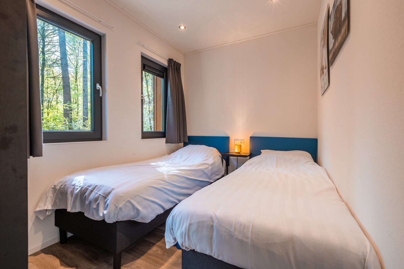 Zandborg Lodge | 6 personen
