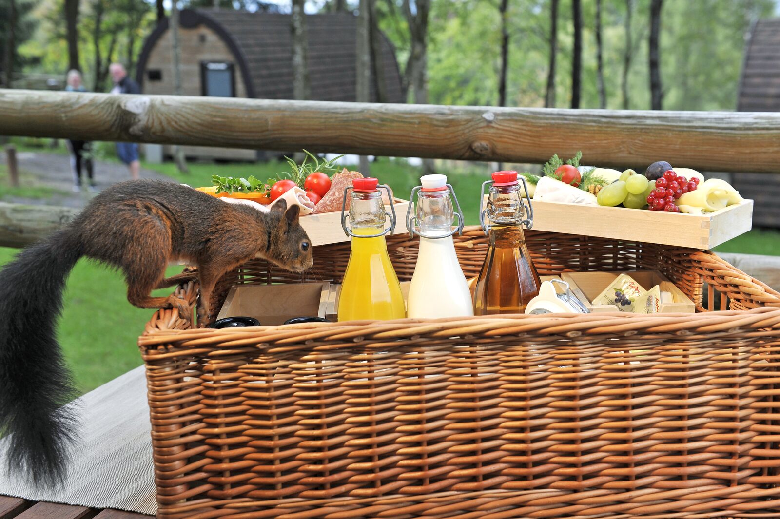 Wood Lodge Romantic Package