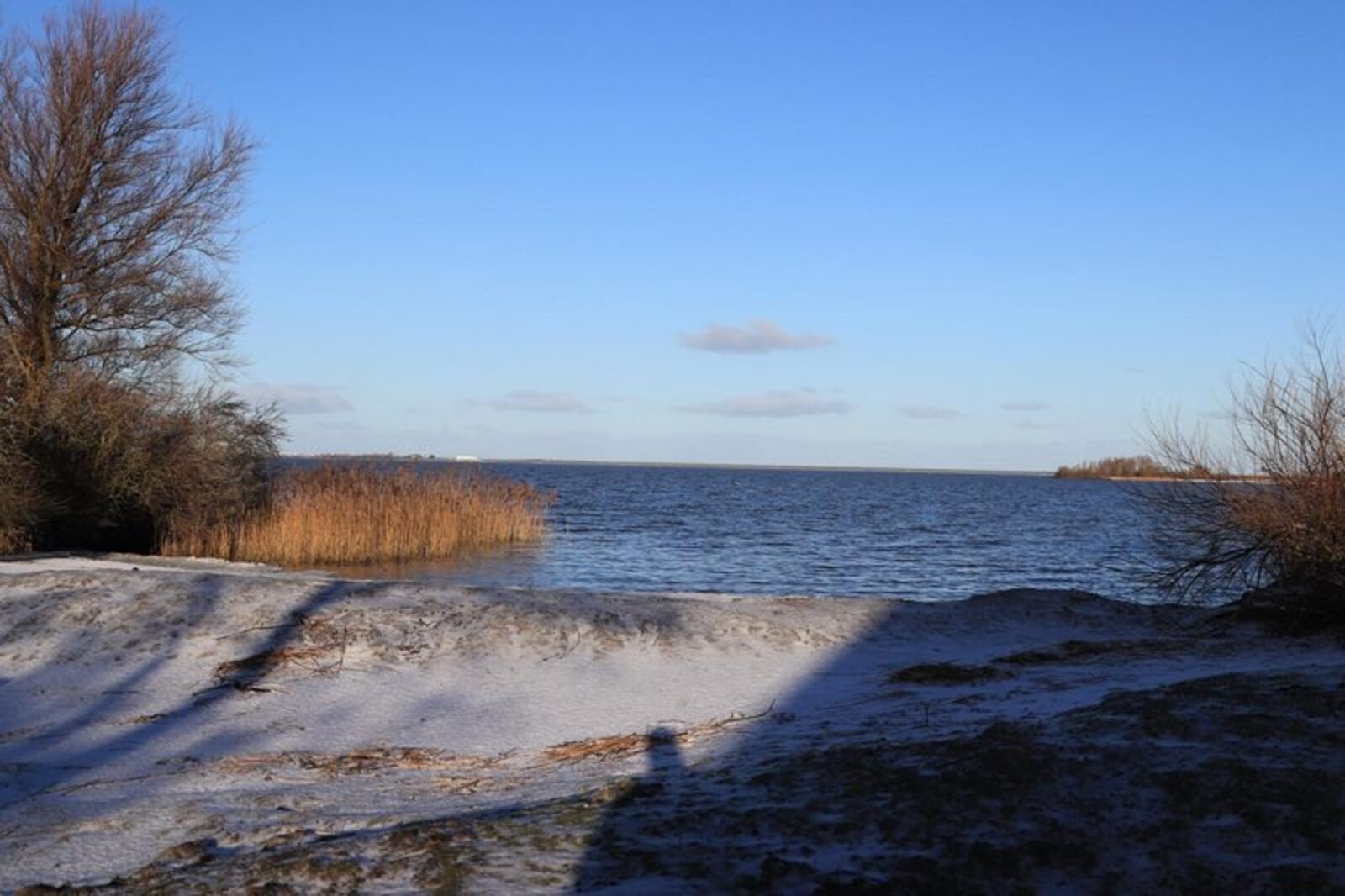Duinvilla aan het strand - 6 personen 