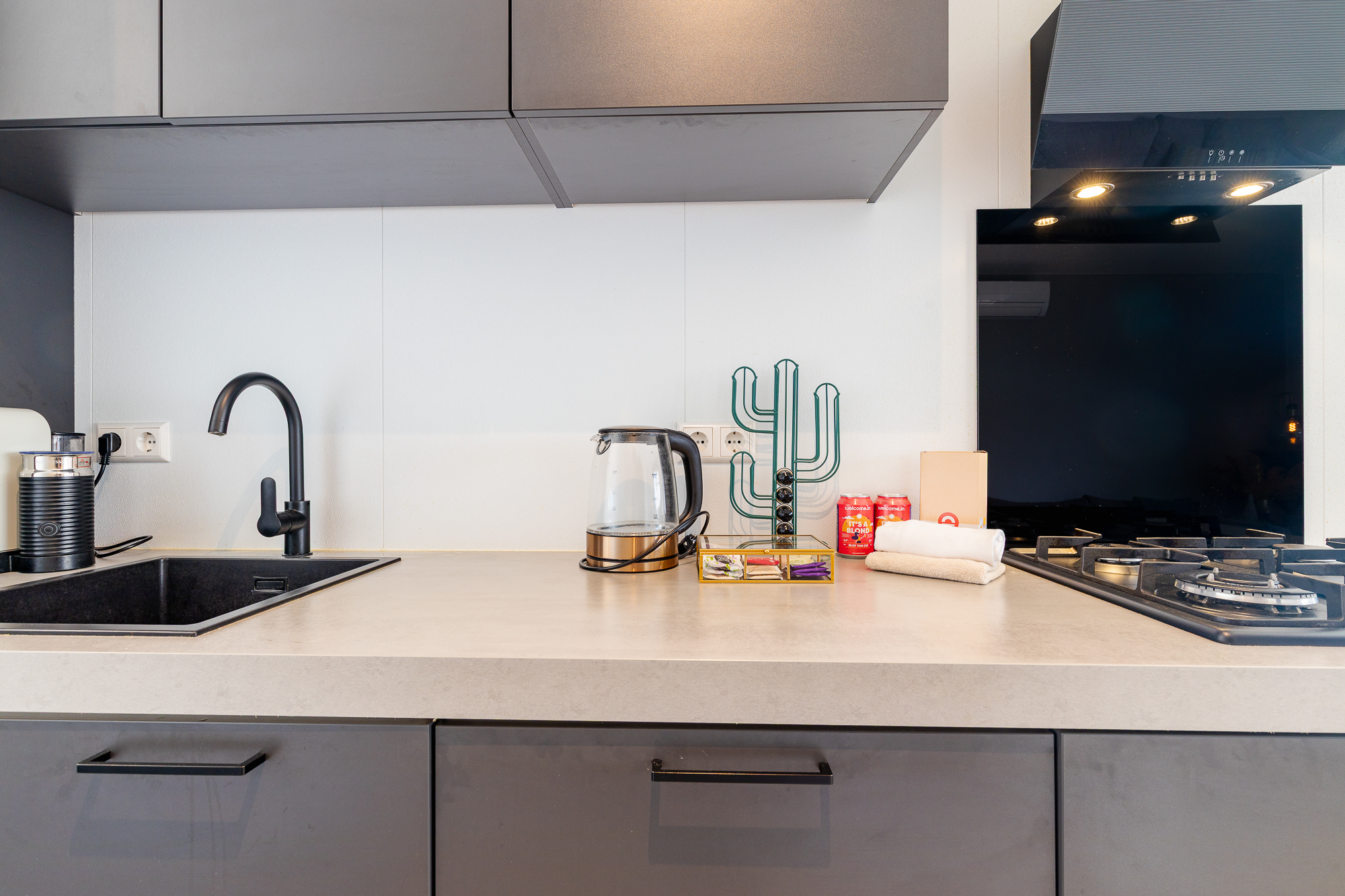 Chalet Julianahoeve Beachhouse Renesse 2645