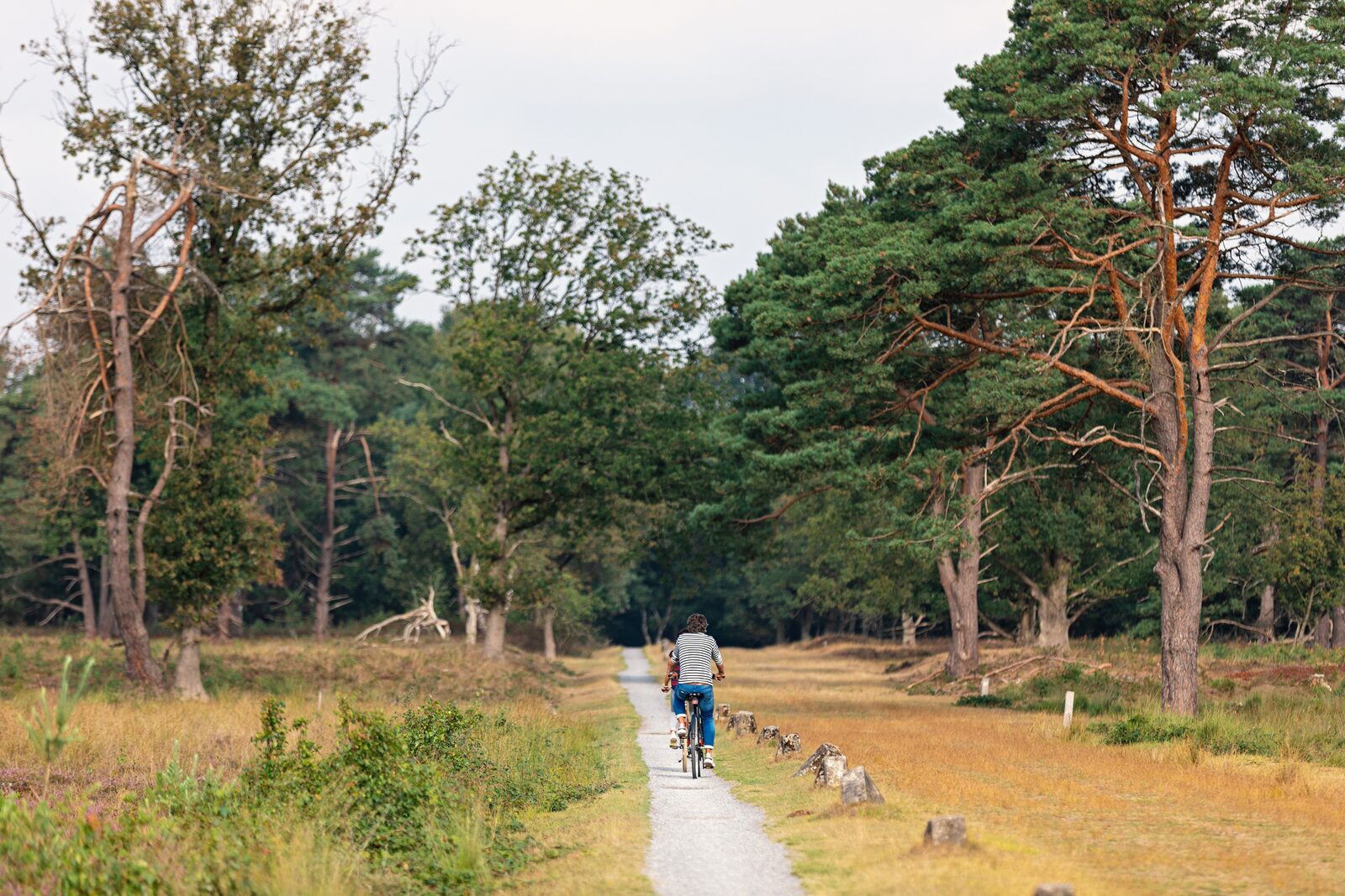 Boterbloem Wellness Chalet | 4 personen