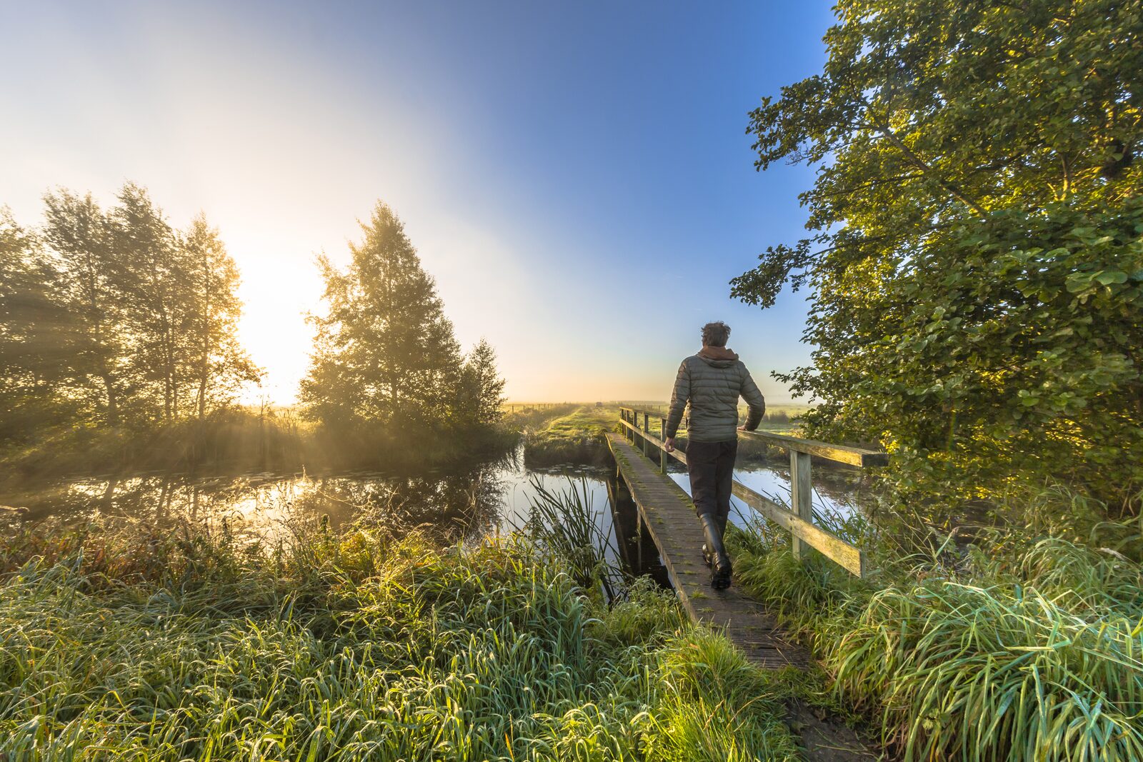 Boterbloem Wellness Chalet | 4 personen