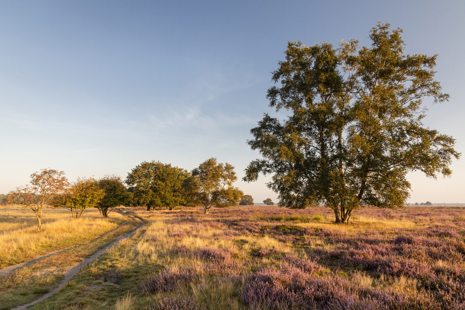 Esborg Lodge | 6 personen