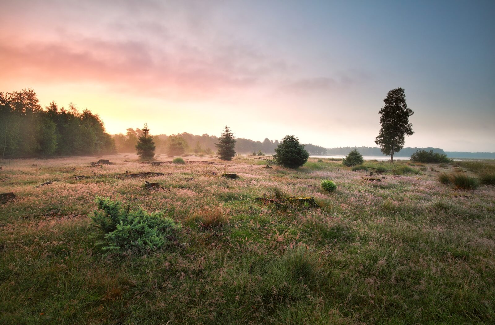 Zandborg Lodge | 6 personen