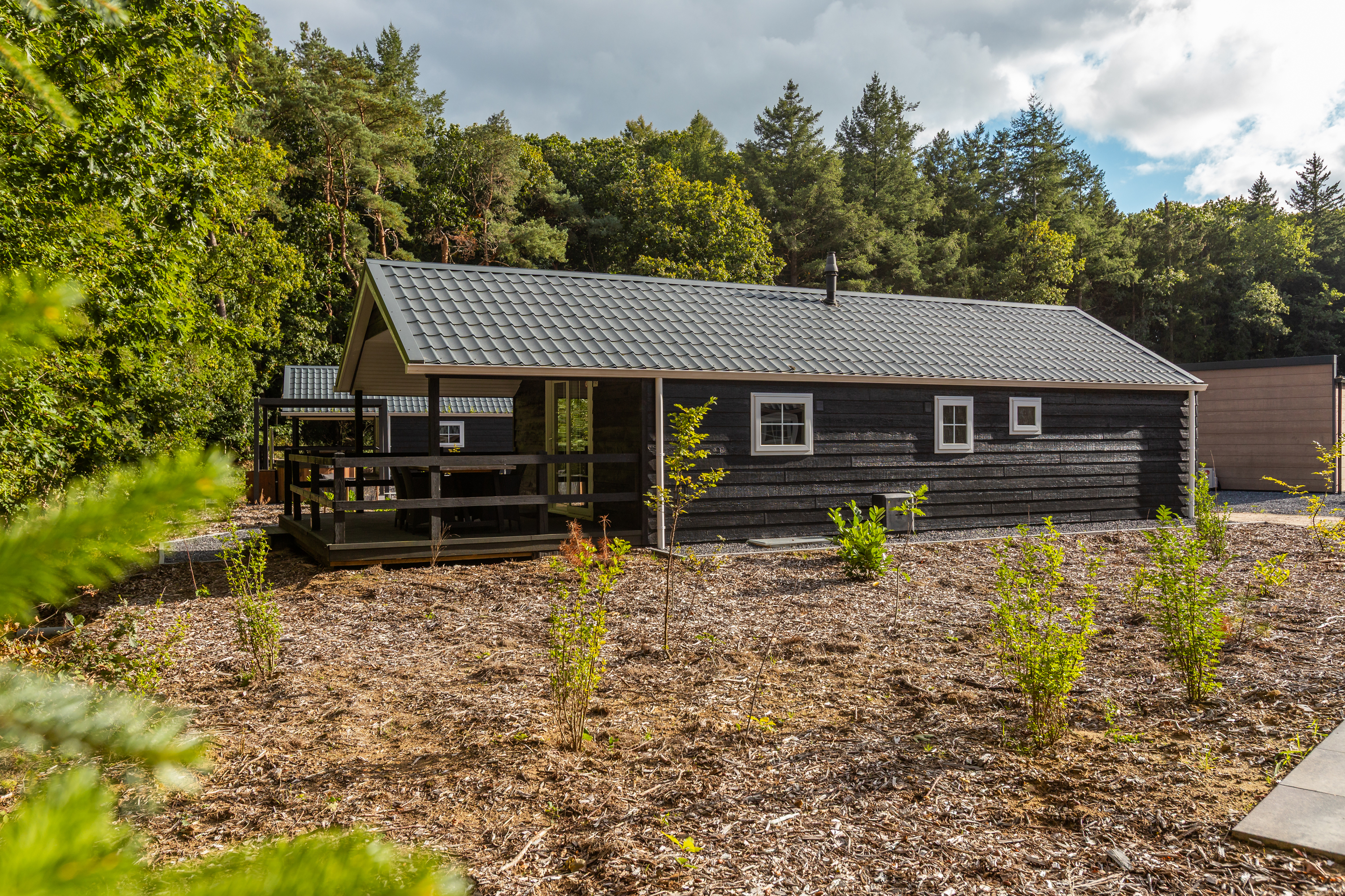 Veenborg Lodge | 4 personnes