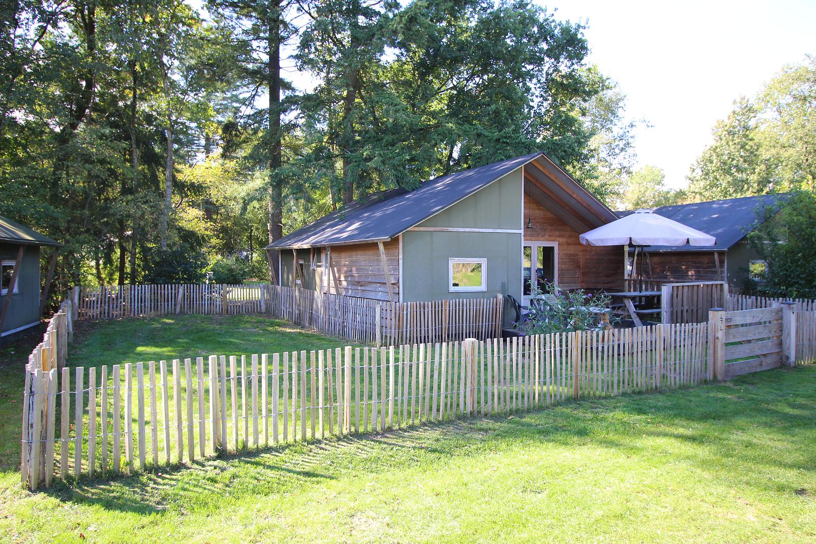 Dog Lodge 6