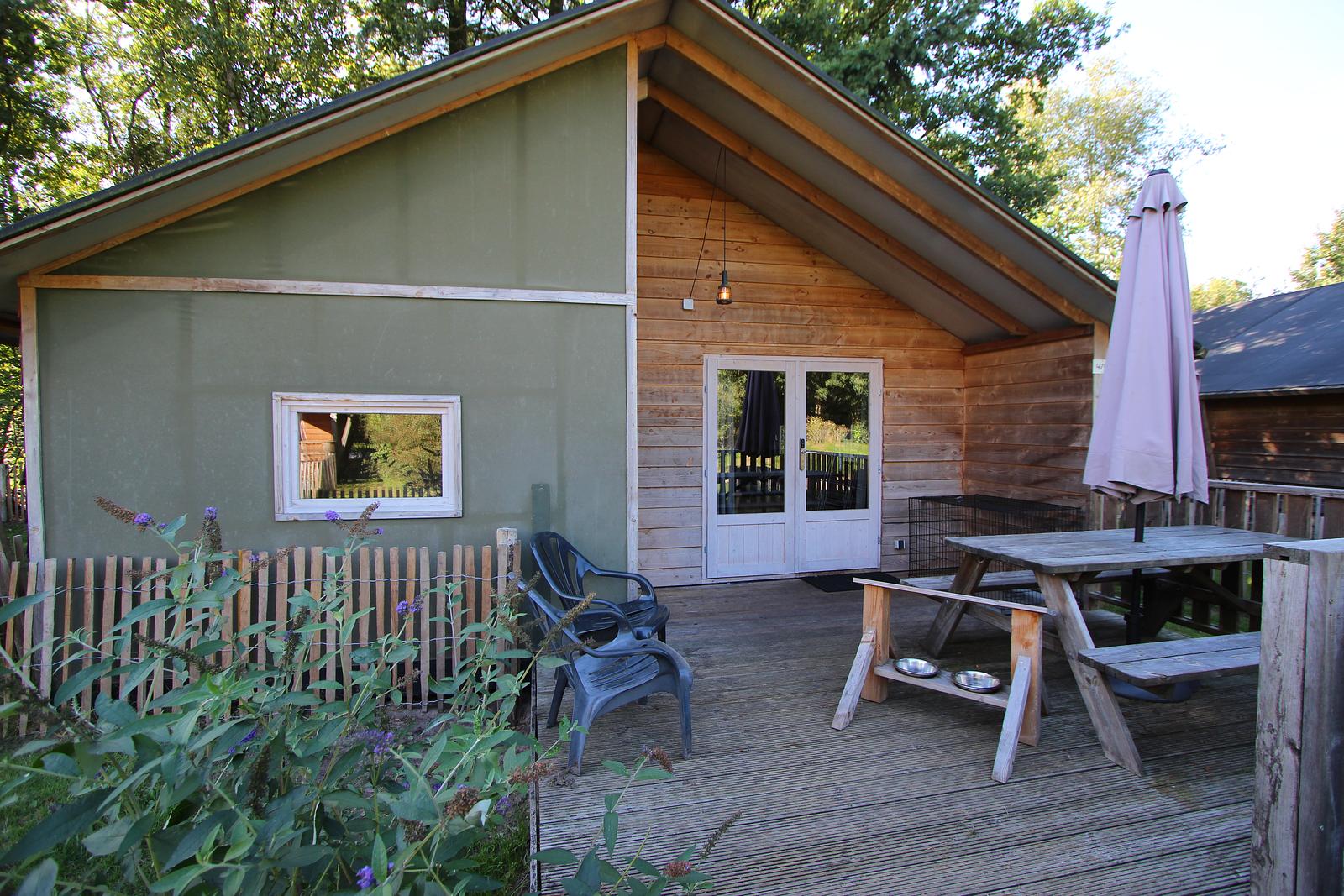 Dog Lodge 6
