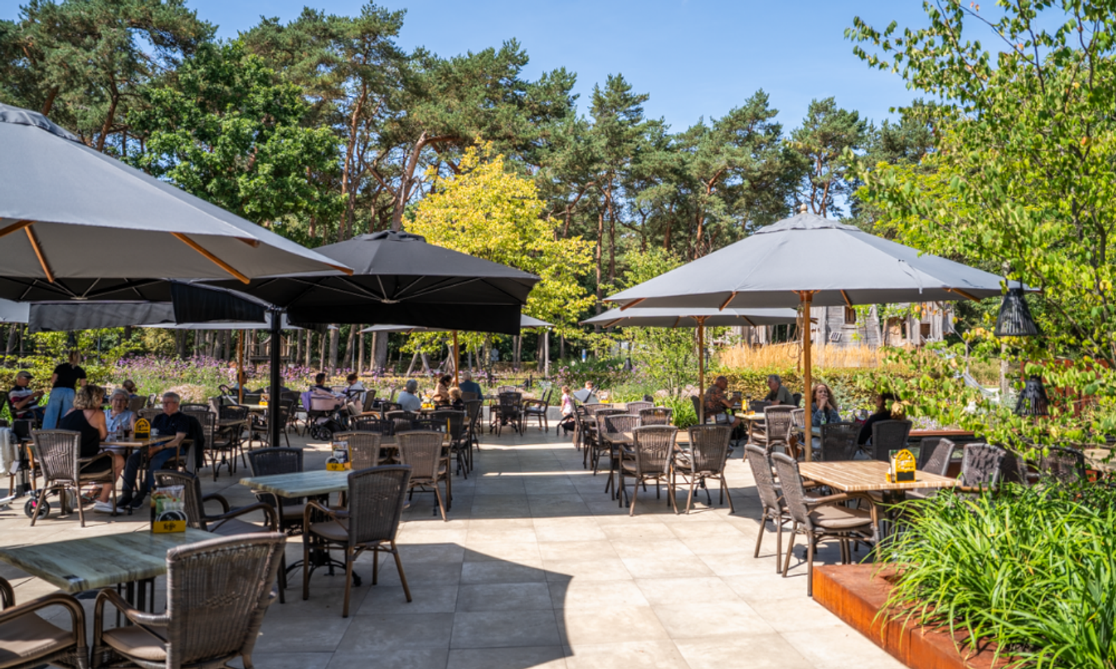 Wood Lodge Waterkant | 4 personen 