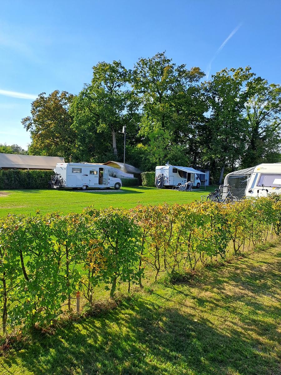 Wohnmobile stellplatz