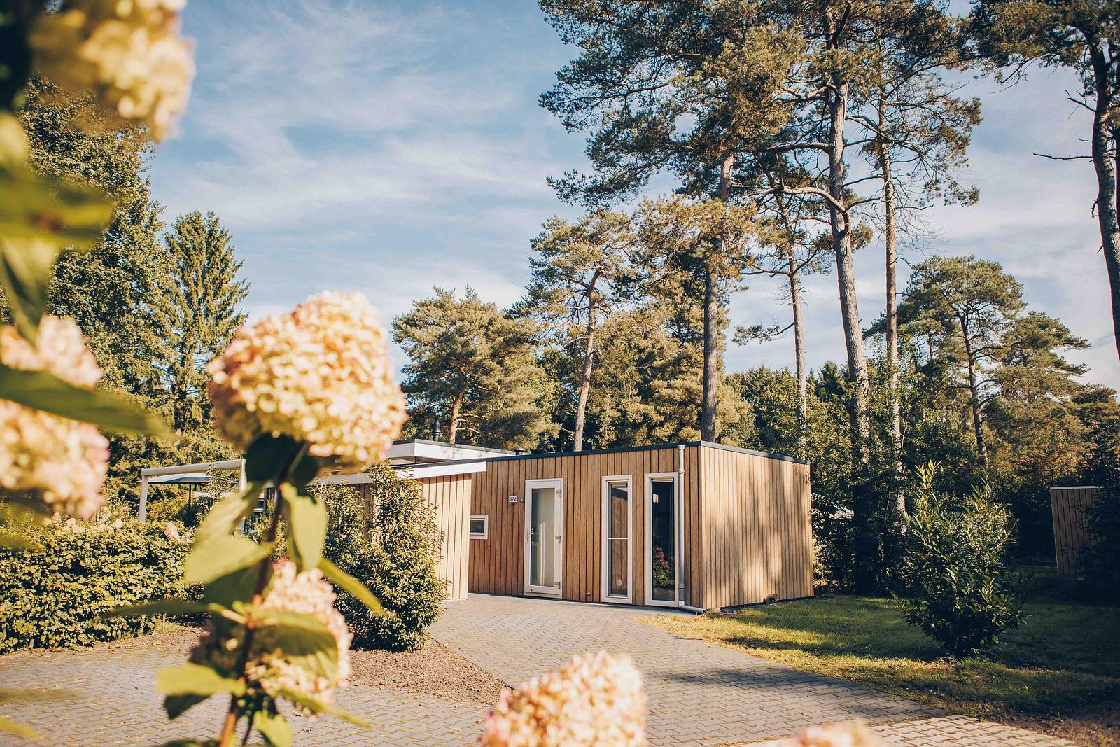 Boterbloem Wellness Chalet | 4 persons