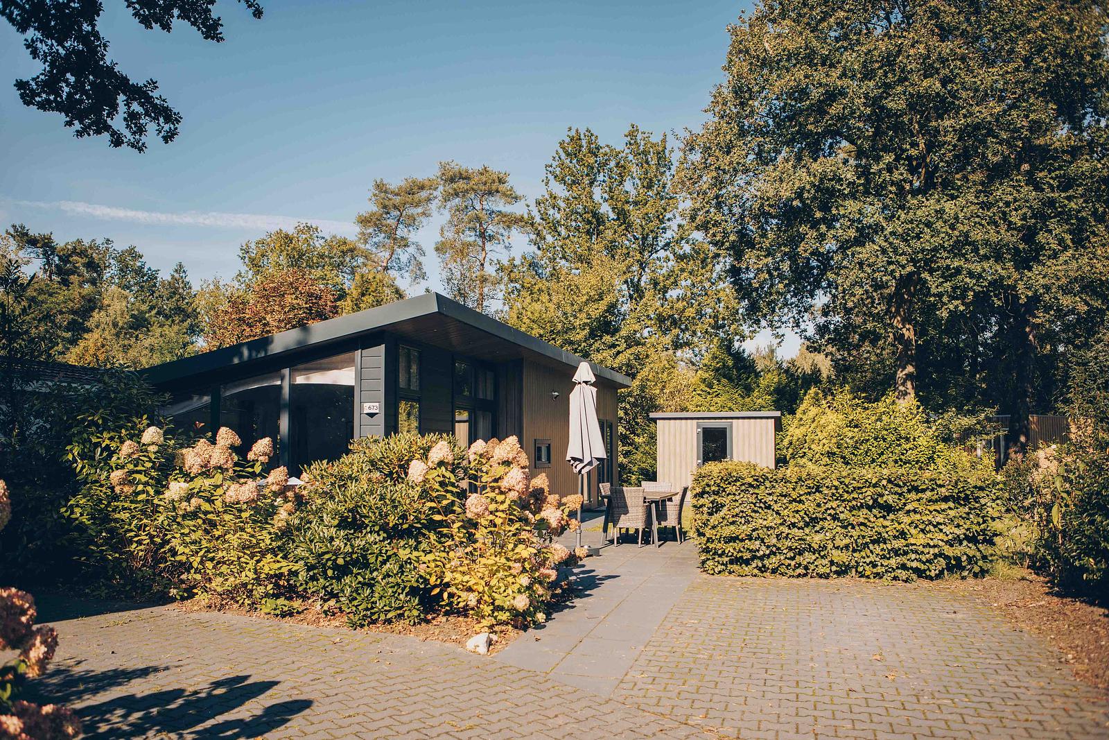 Boterbloem Chalet | 4 persons