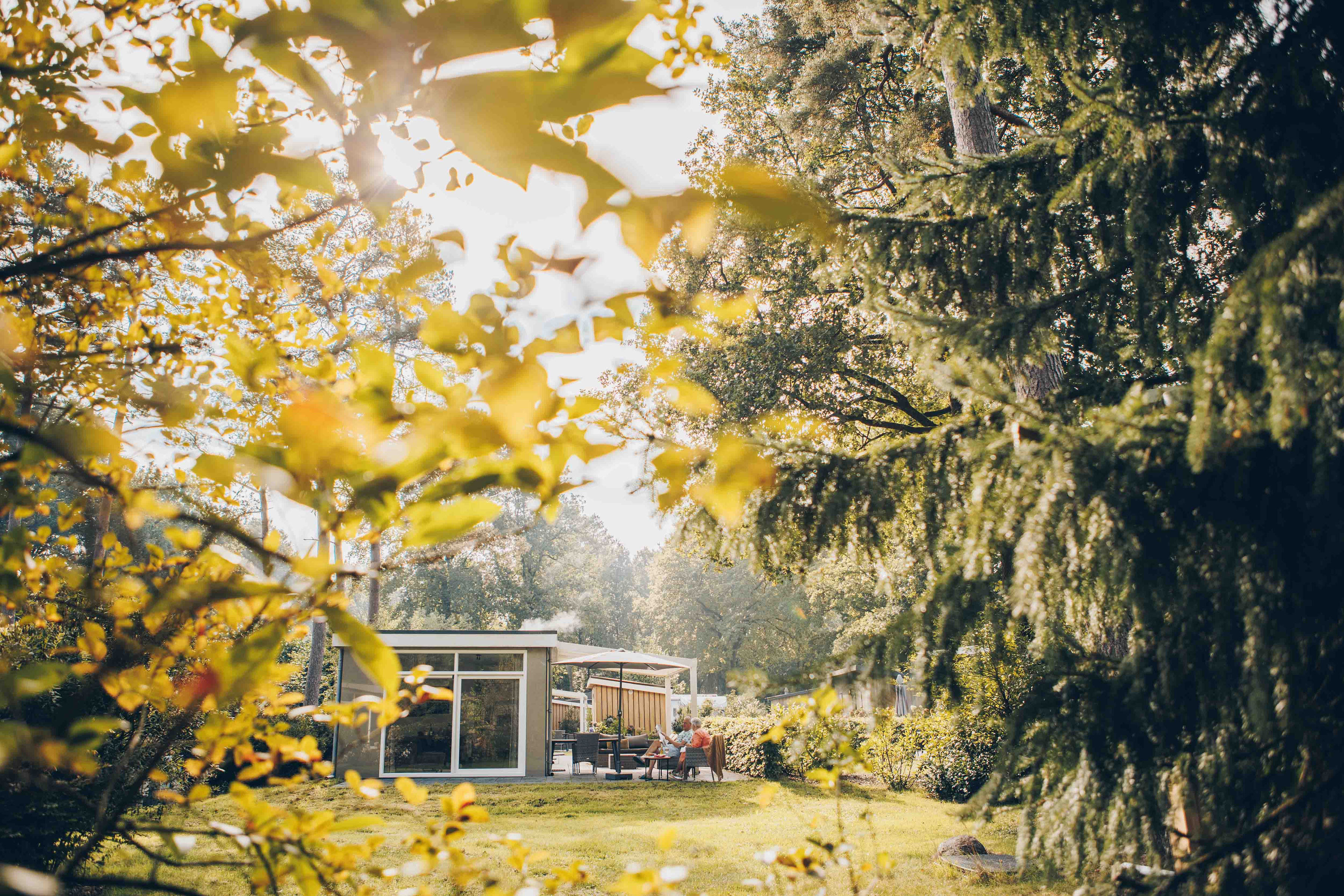 Luxus und Entspannung im Boterbloem Wellness Chalet