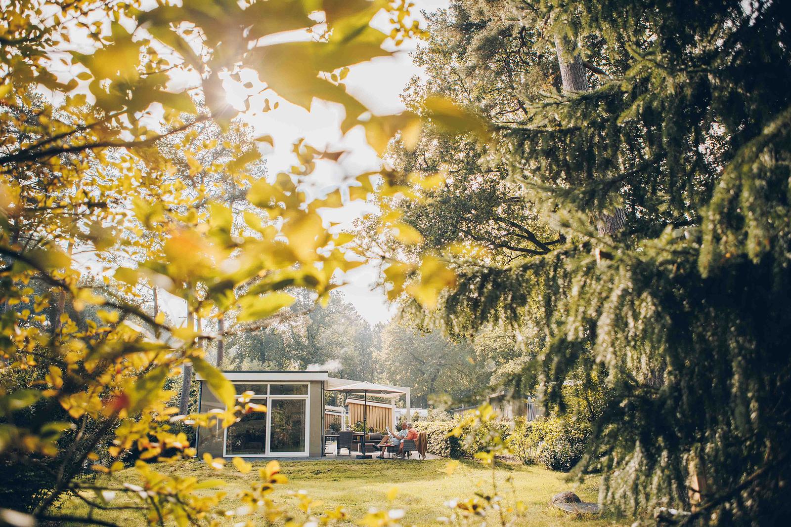 Boterbloem Wellness Chalet | 4 persons