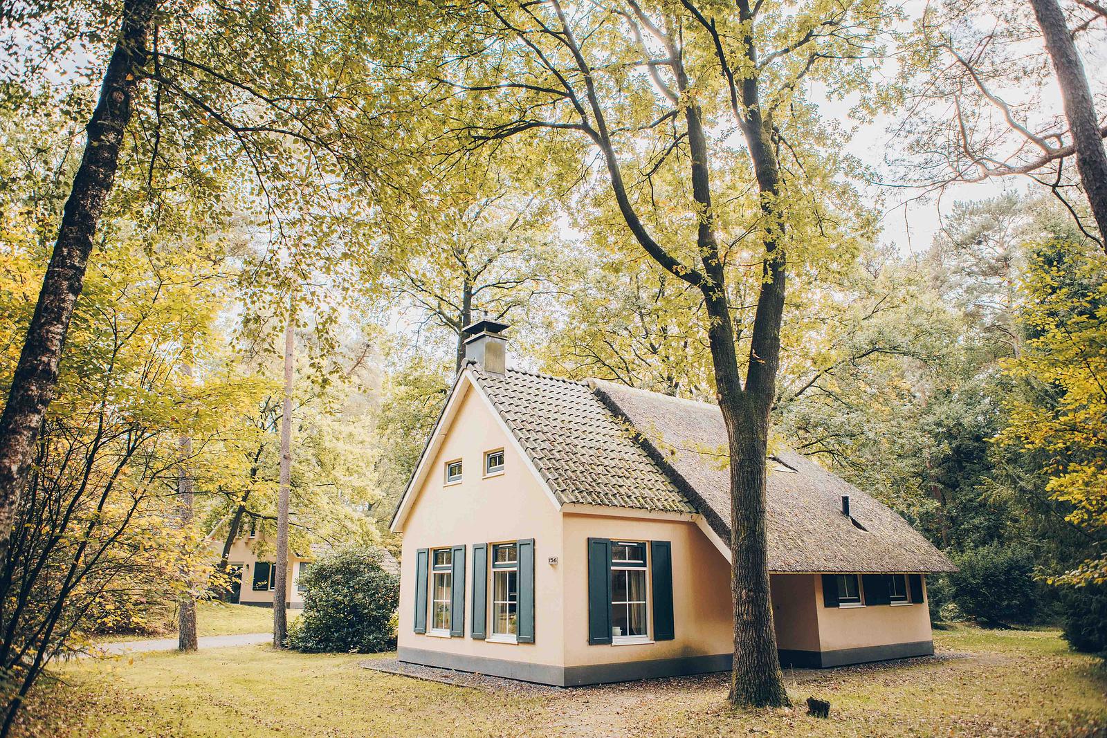 Esdorp Bungalow with Bedstead | 4+2 persons