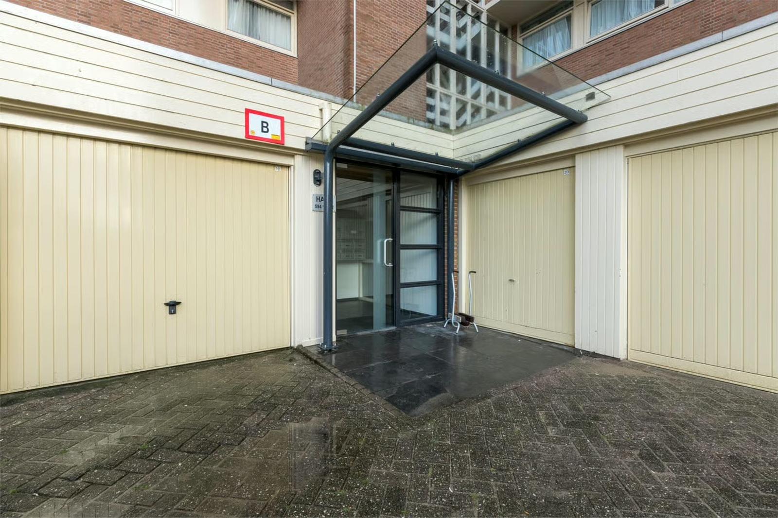 Duindoorn