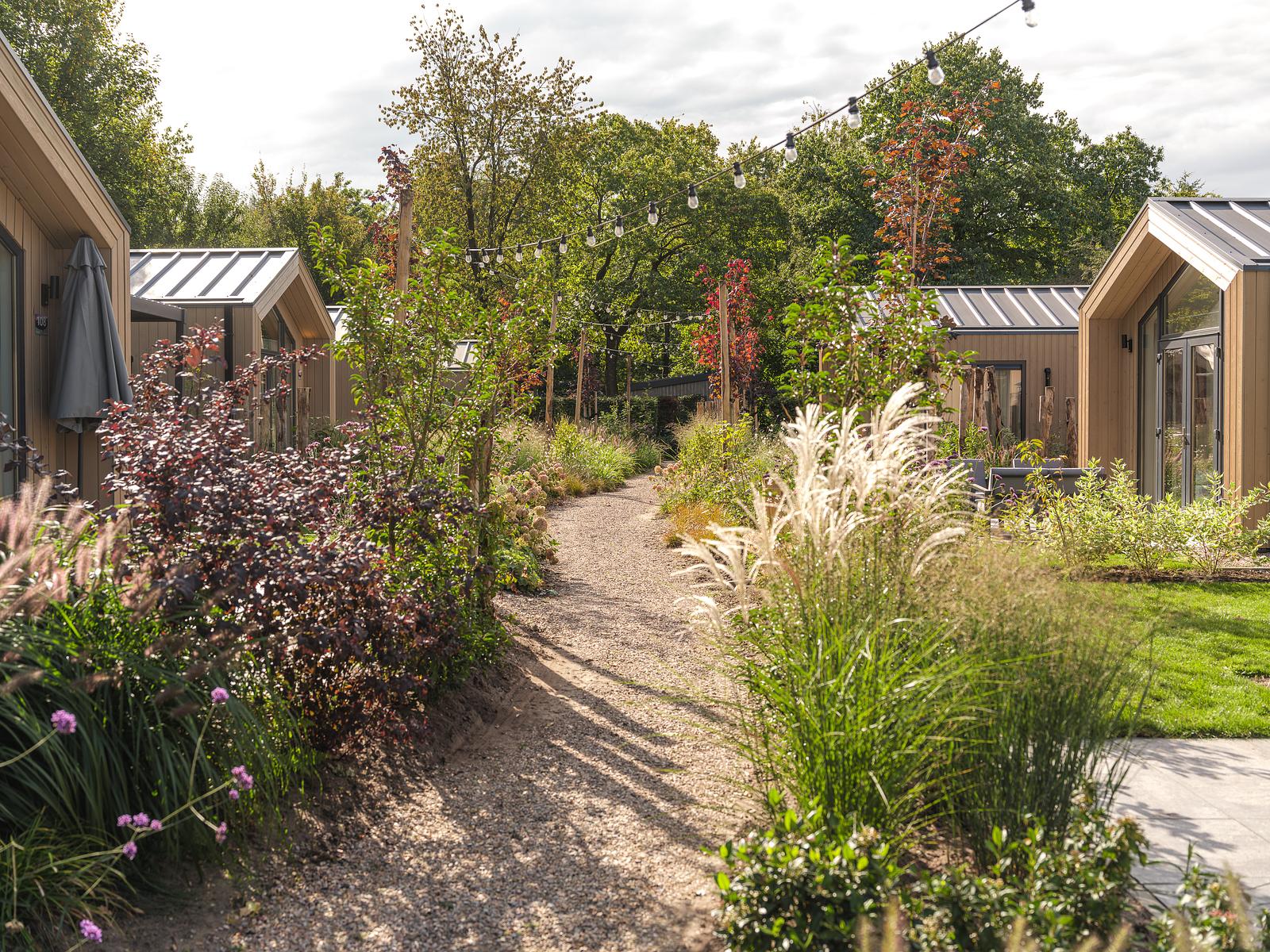 Tiny Lodge | 4 personen 