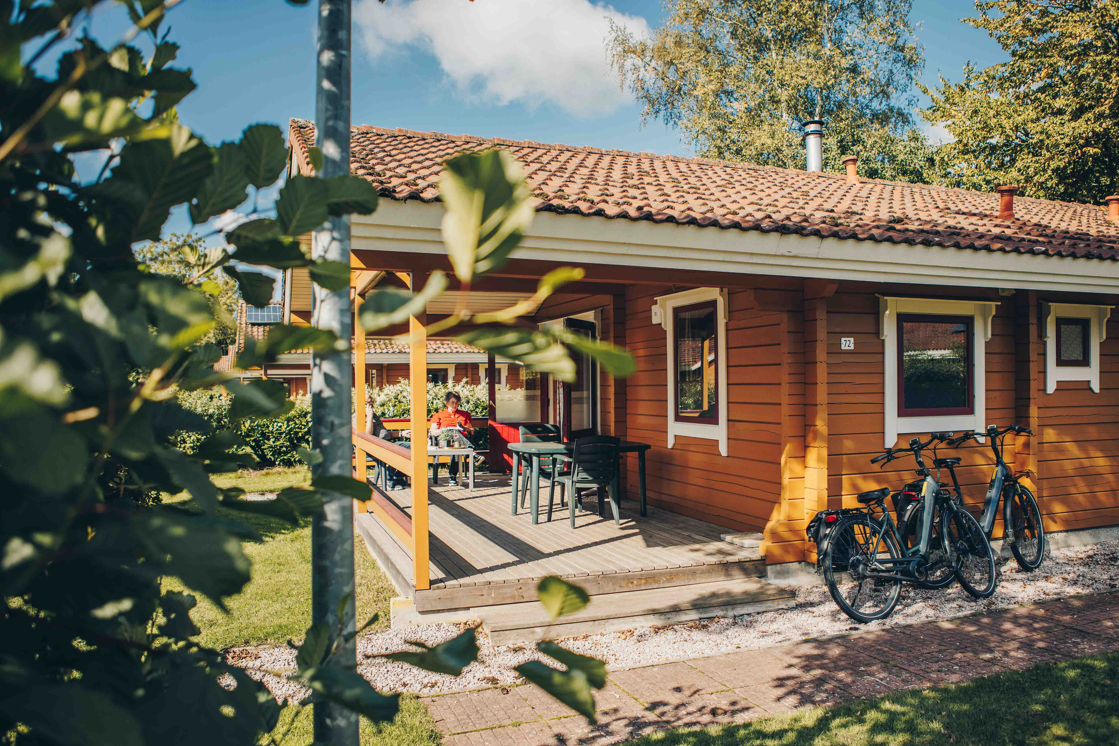 Vakantiehuis in Gramsbergen (Nederland) 2 honden zijn welkom