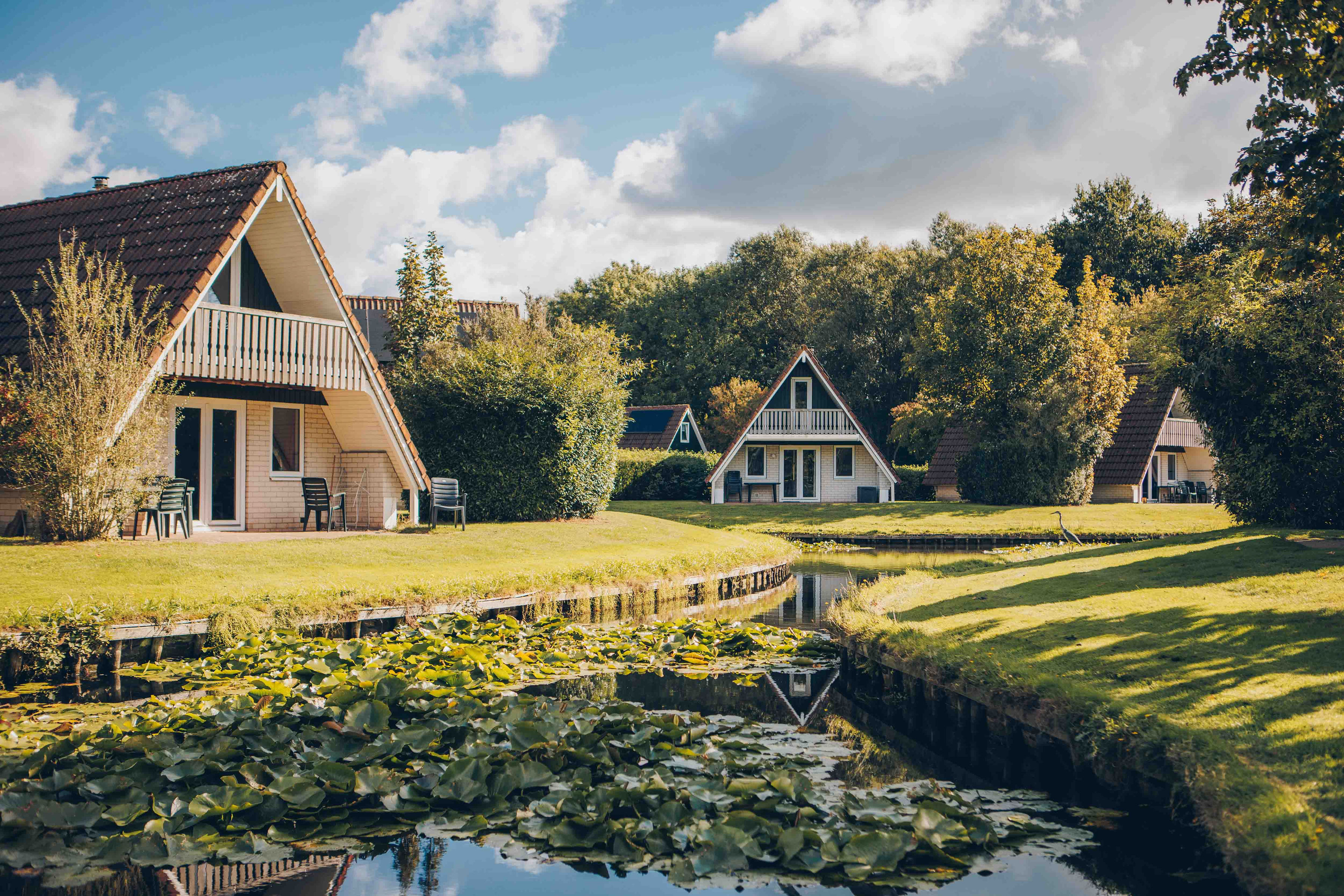 Vakantiehuis in Gramsbergen (Nederland) 2 honden zijn welkom