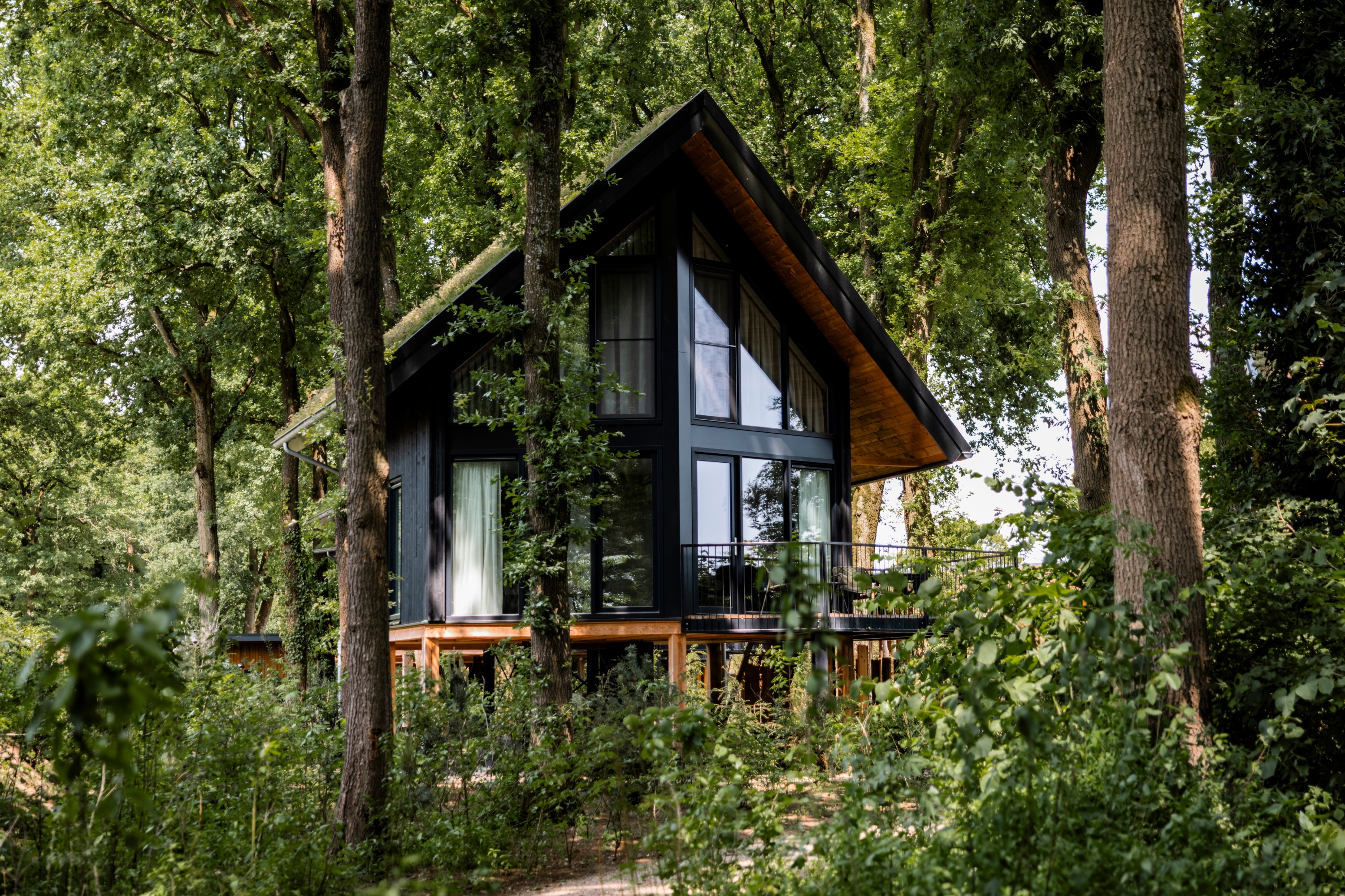 Ferienhaus in Wekerom (Niederlande) und 1 Hund erlaubt