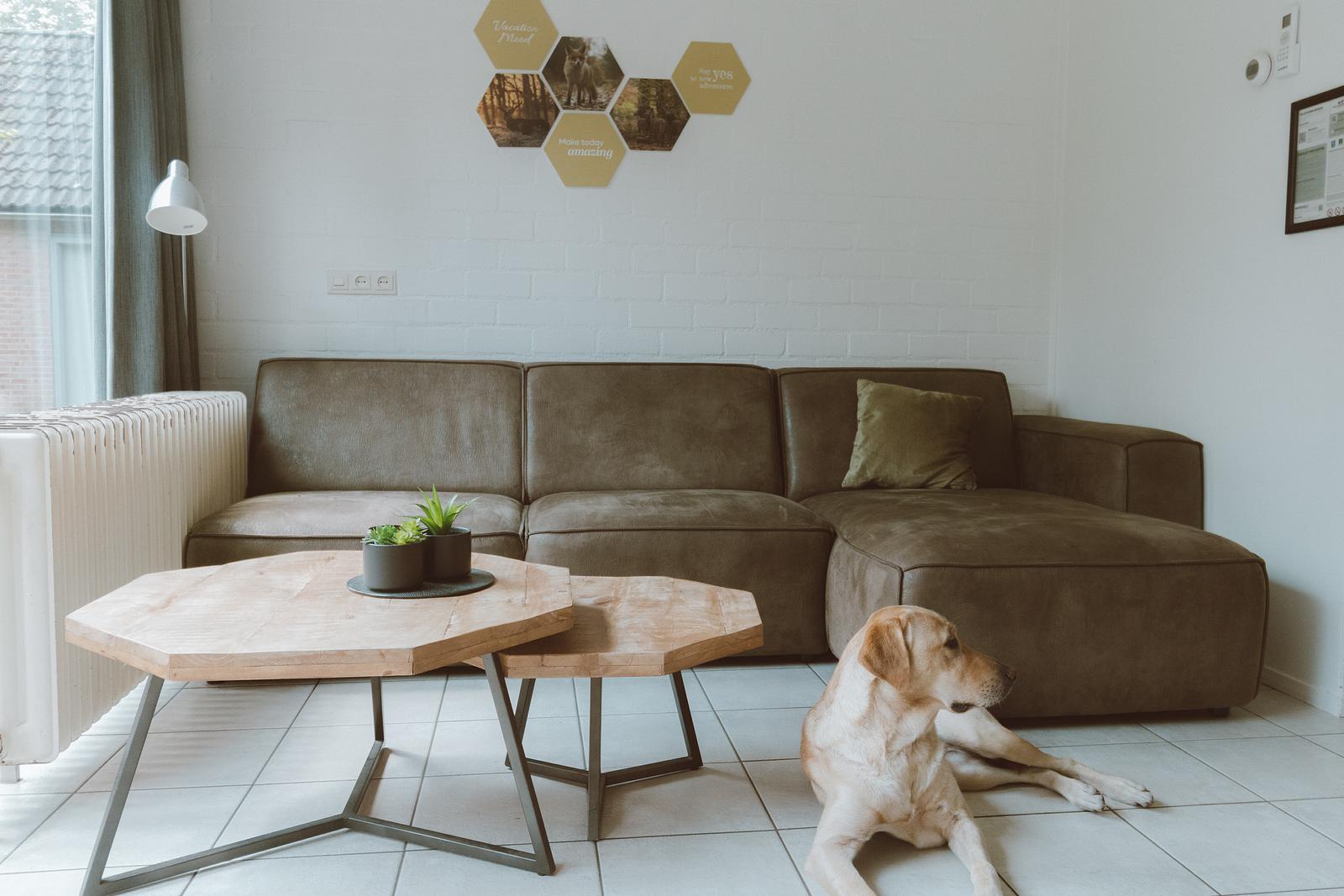 2-person Bungalow IJssel Plus
