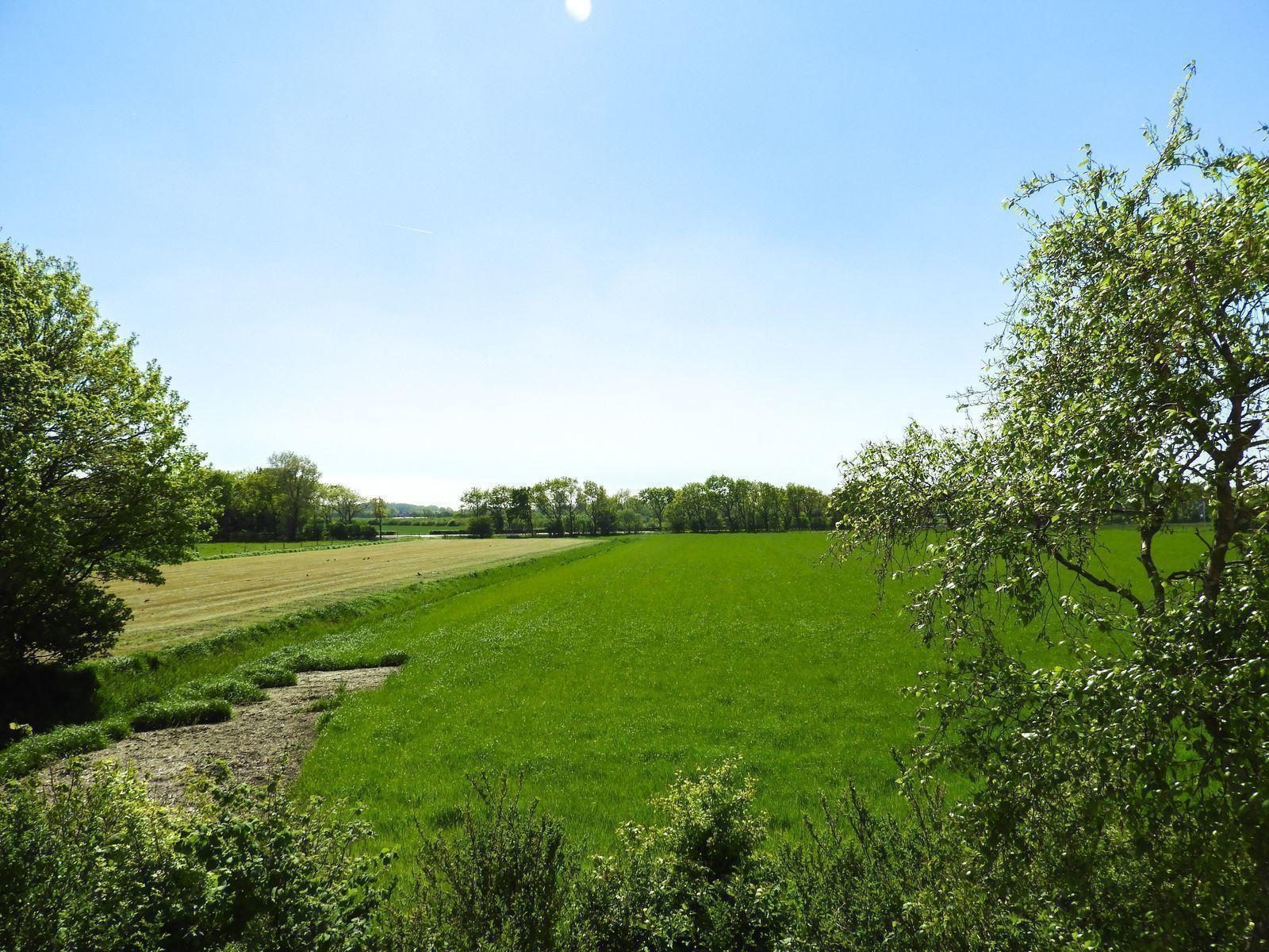 VZ488 Ferienunterkunft in Oostkapelle