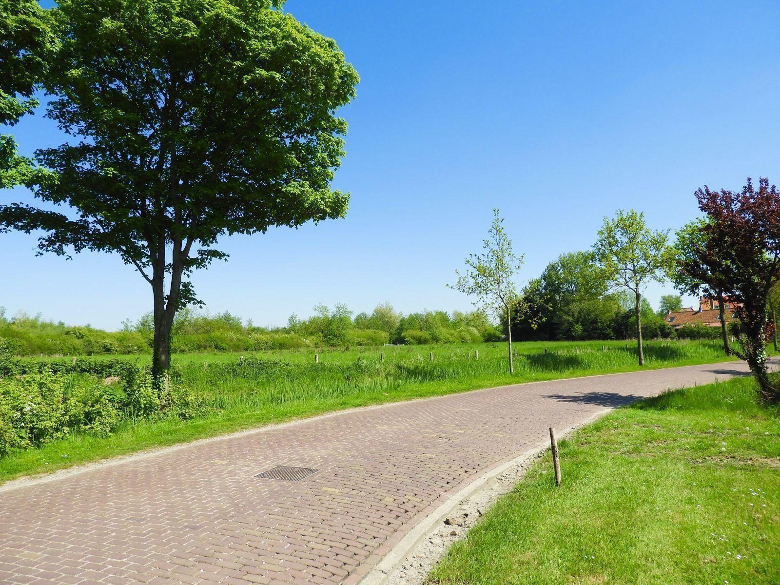 VZ488 Ferienunterkunft in Oostkapelle