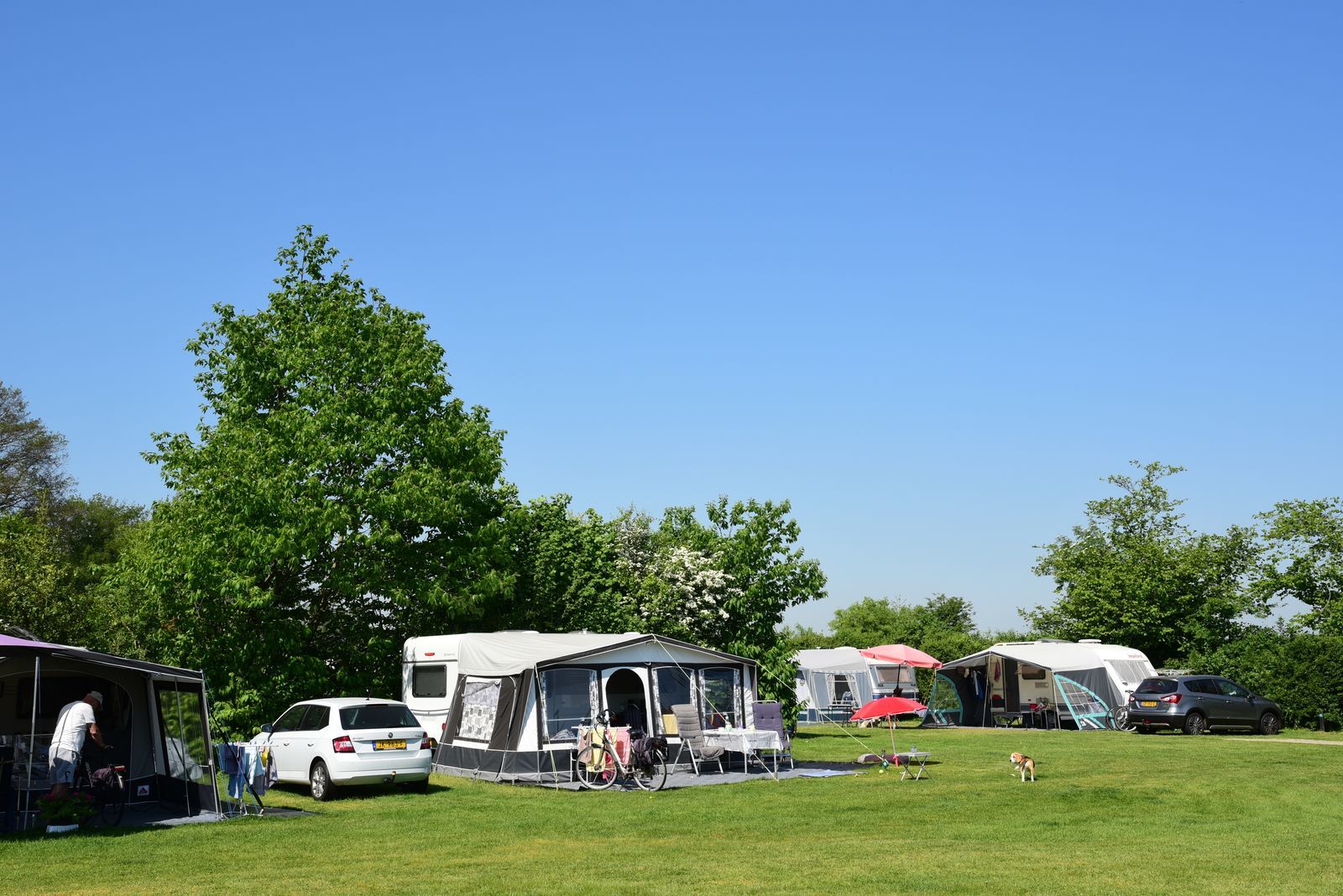 Comfortplaats